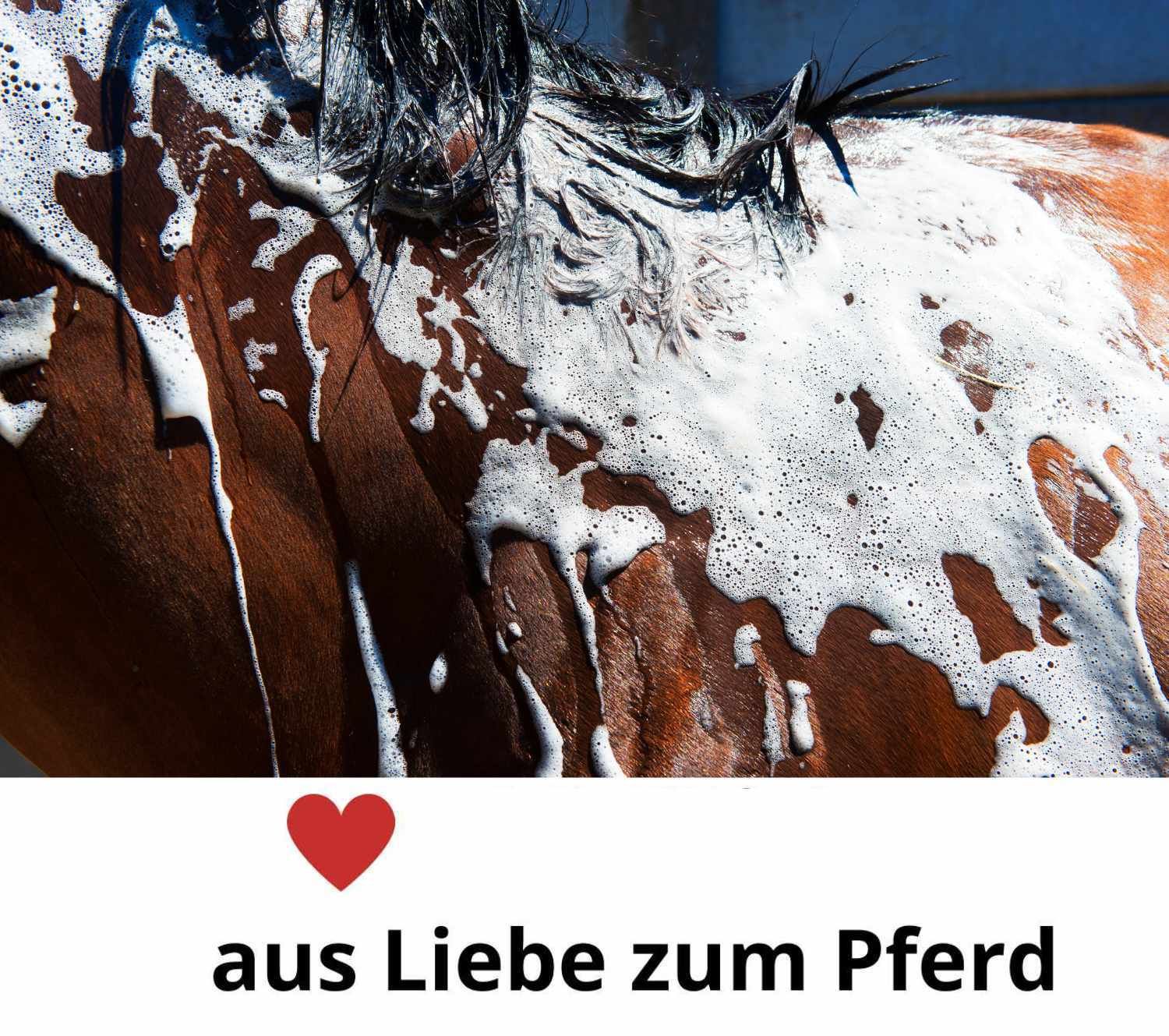 Pferd mit Schaum bedeckt. Text: aus Liebe zum Pferd.