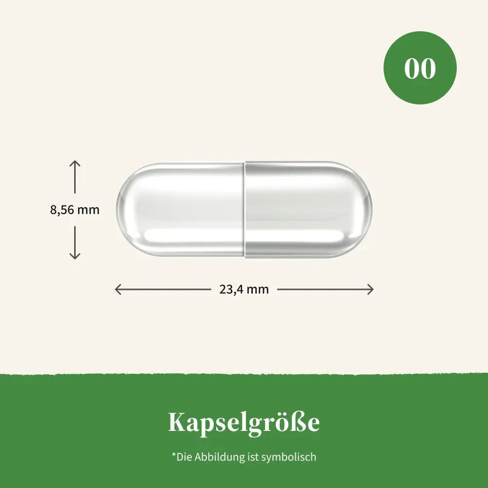 Kapsel mit Maßangaben: 23,4 mm lang, 8,56 mm Durchmesser. Text: Kapselgröße. Abbildung ist symbolisch.