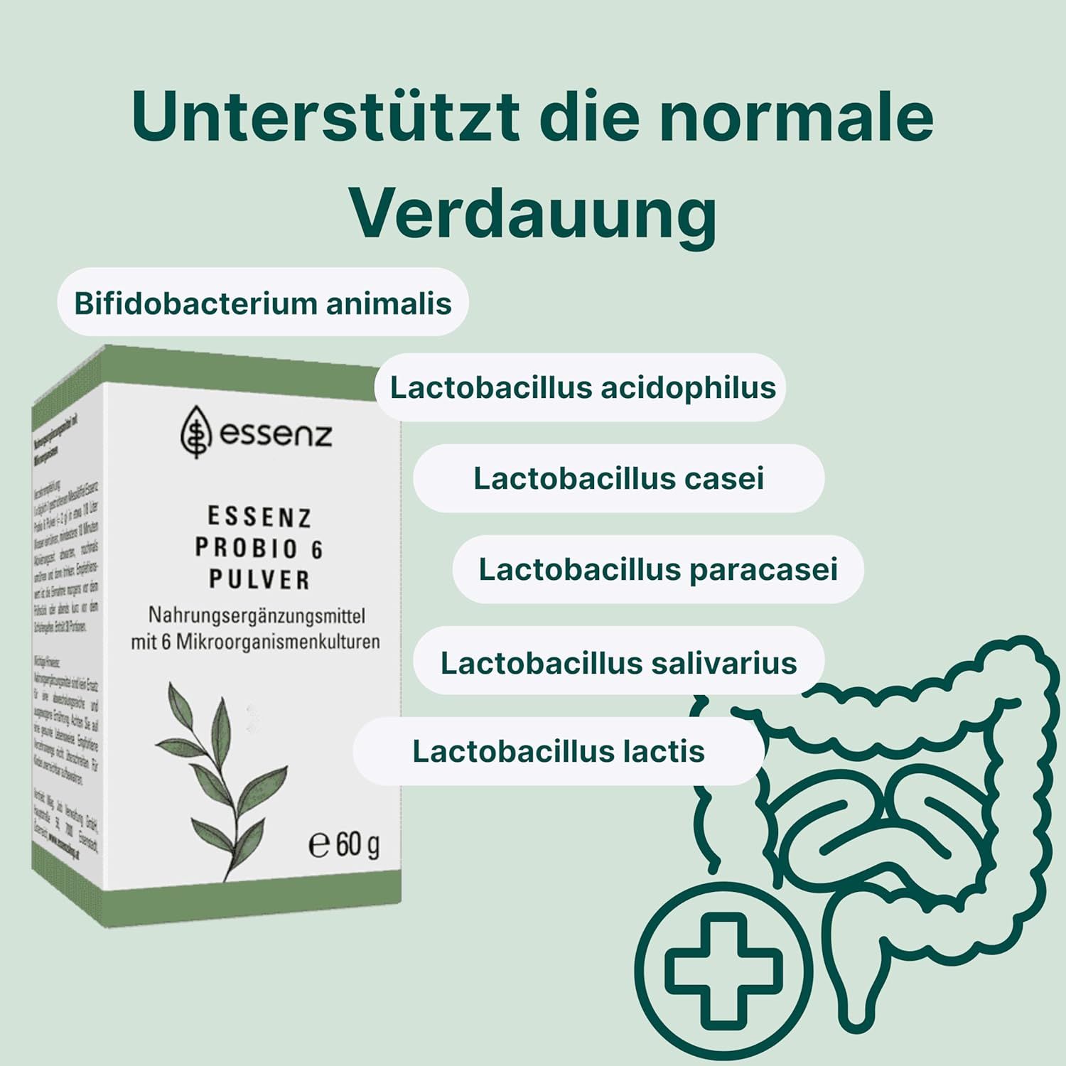 Grüne Schachtel mit ESSENZ PROBIO 6 PULVER. Text: Nahrungsergänzungsmittel mit 6 Mikroorganismenkulturen. Auflistung von Bakterienarten.
