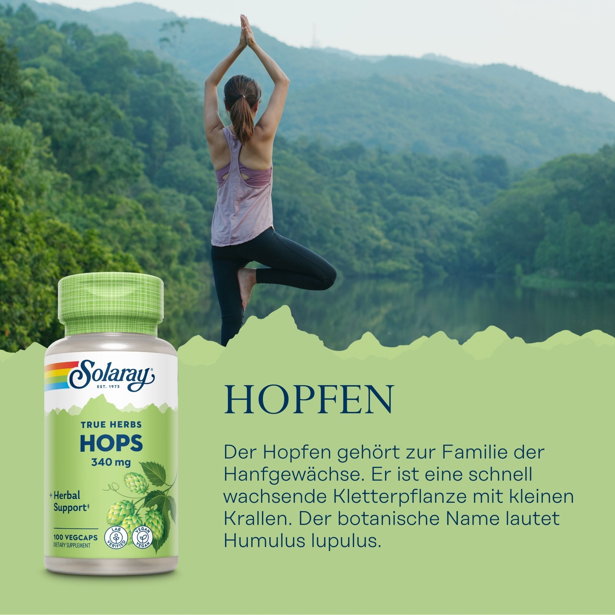 Solaray Hopfen-Kapseln, 340 mg, in einer Flasche. Aufschrift: True Herbs Hops. Grün-weiße Verpackung mit Logo und Hopfen-Illustration.