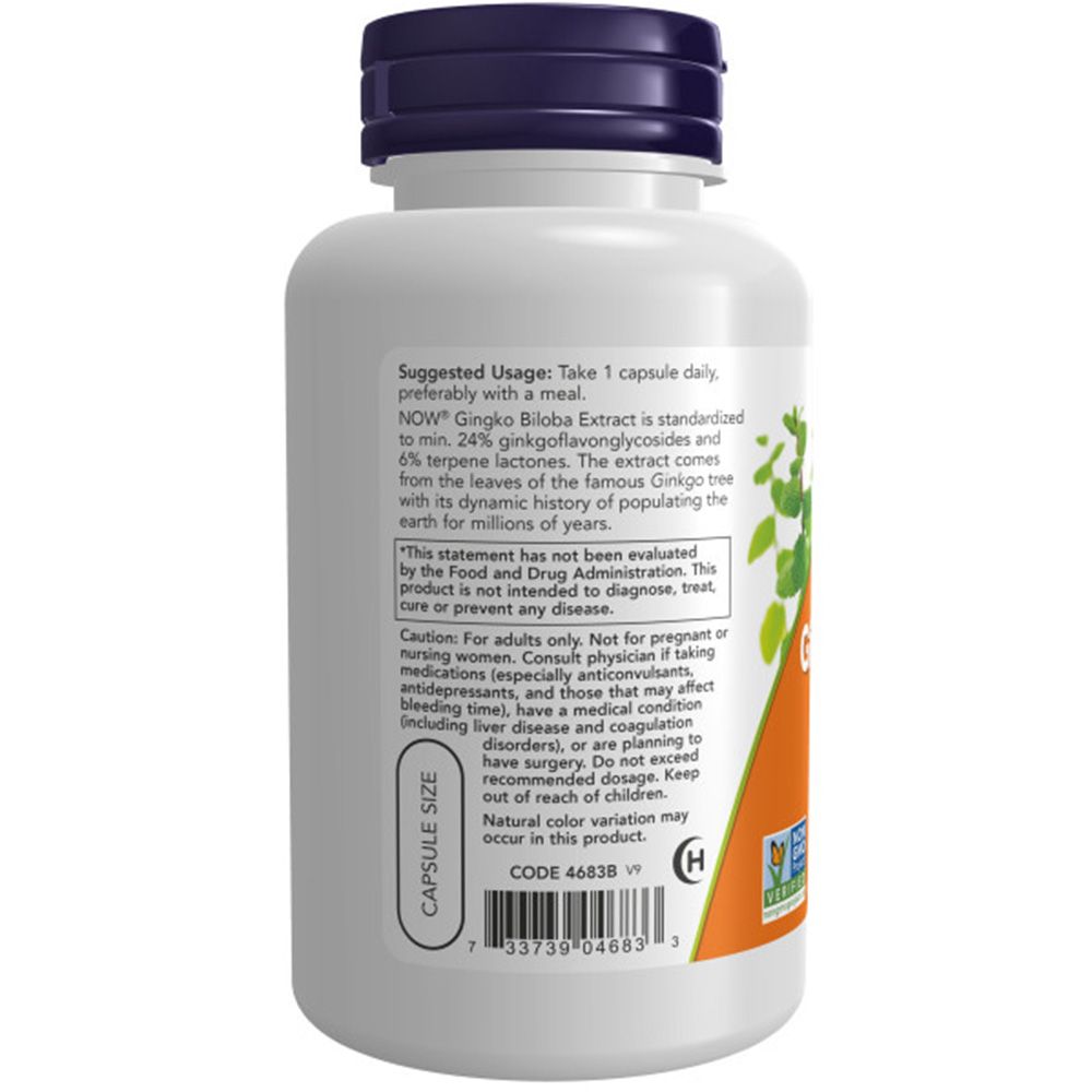 Rückseite einer weißen Flasche mit orangefarbenem Etikett. Enthält Kapseln. Aufschrift: Ginkgo Biloba Extract. Blauer Deckel.