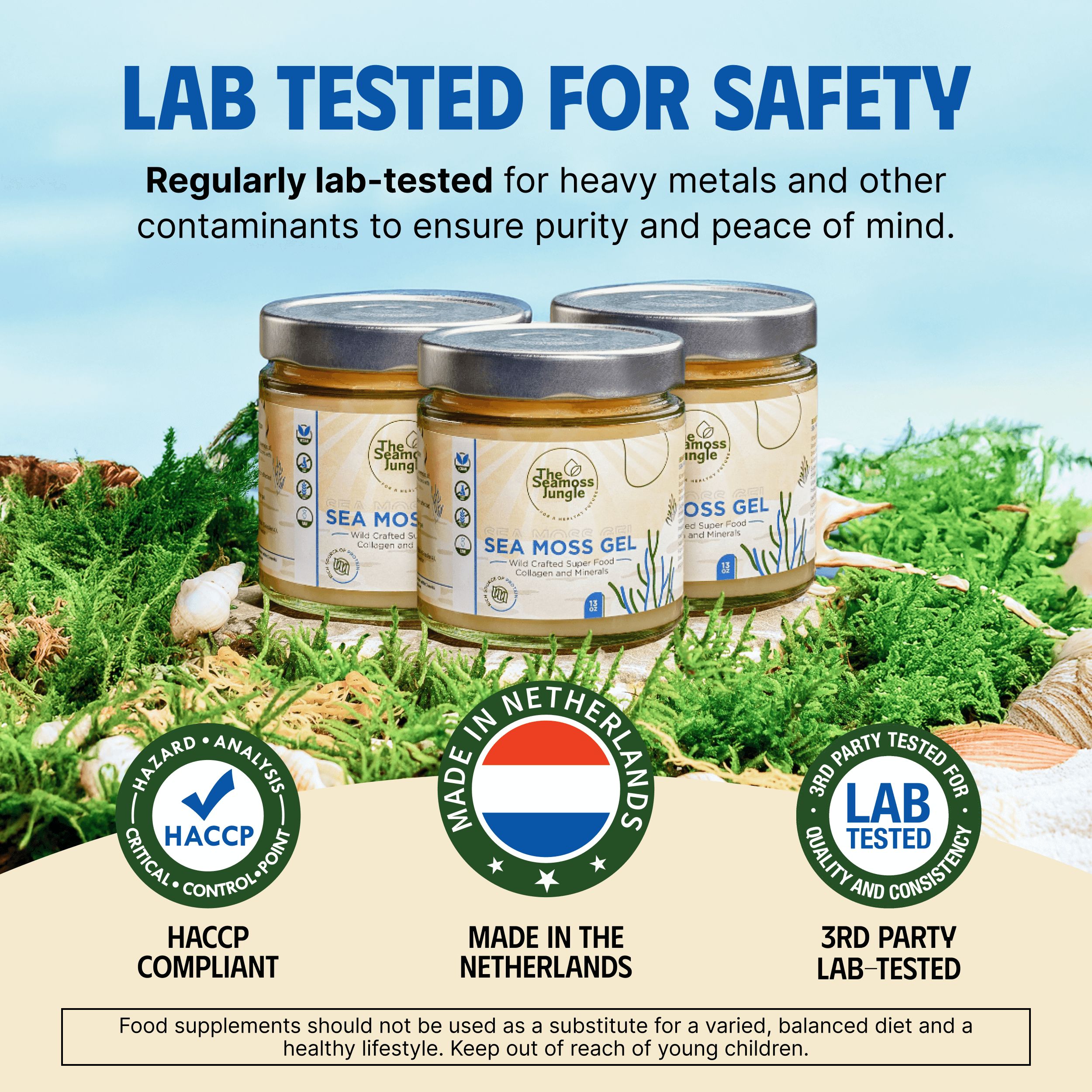 Drei Gläser Sea Moss Gel. Aufschrift: The Seamoss Jungle, Sea Moss Gel. Label: Made in Netherlands, 3rd Party Lab-Tested, HACCP Compliant.