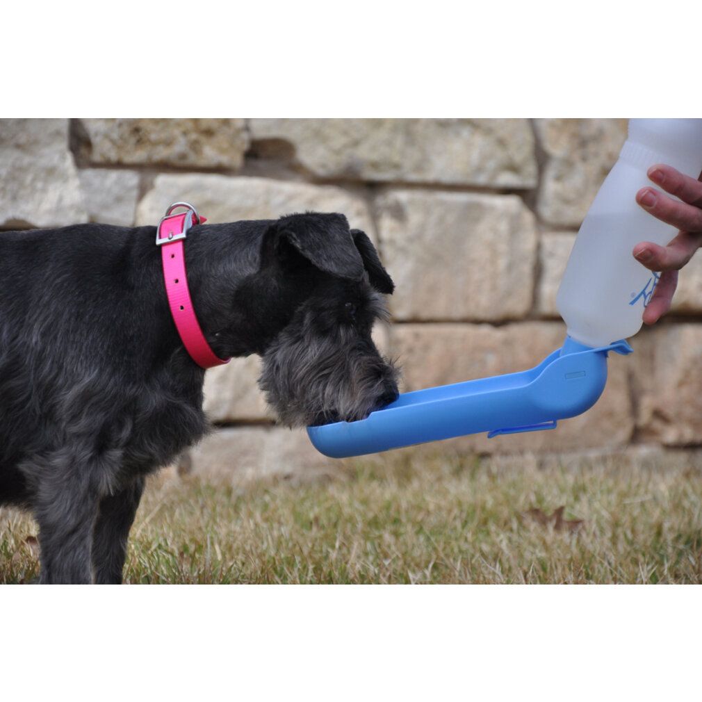 Schwarzer Hund trinkt aus einer blauen Hunde-Trinkflasche. Die Flasche wird von einer Hand gehalten.