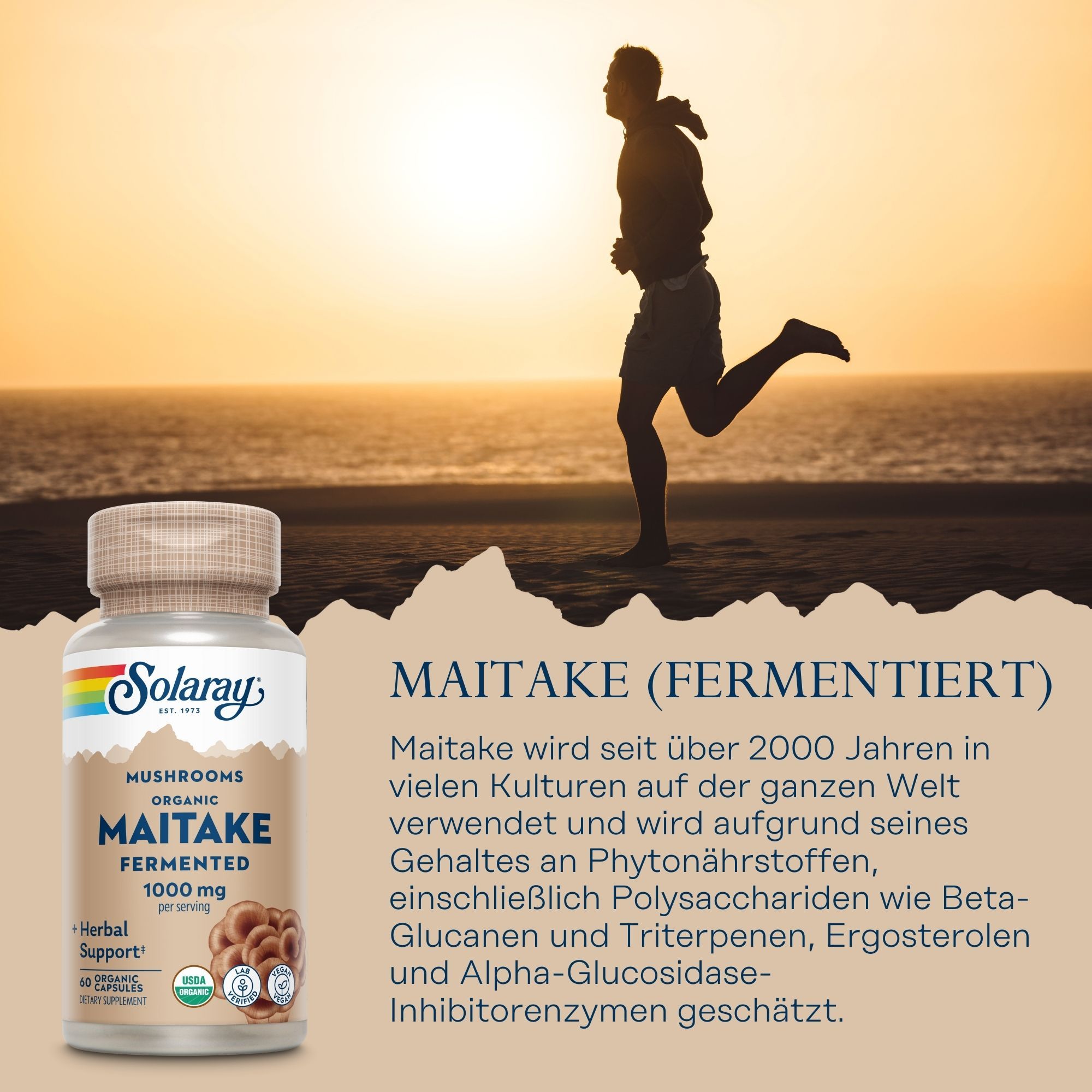 Produktflasche Solaray Maitake neben einem Mann, der am Strand läuft. Textinformationen über Maitake und seine Inhaltsstoffe.