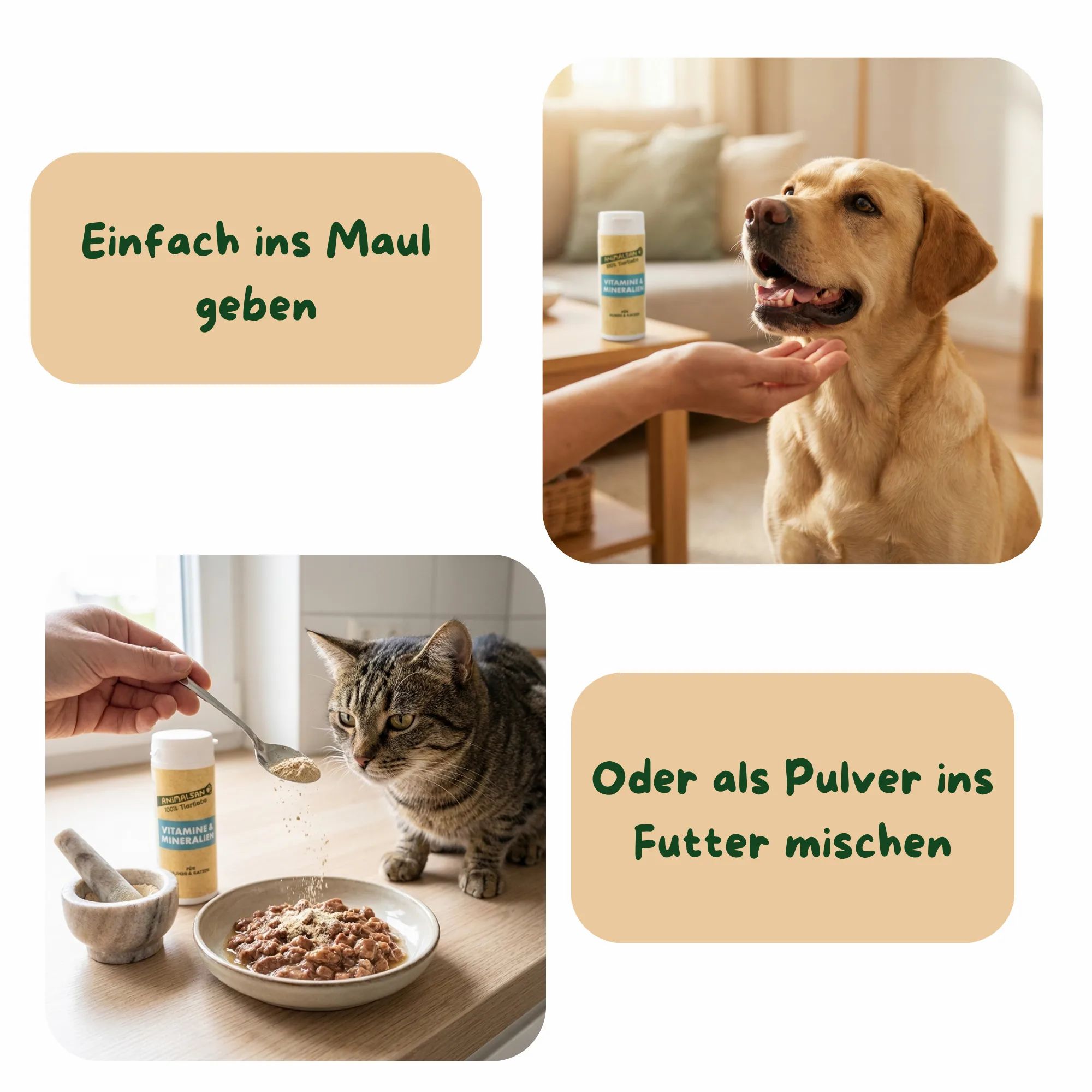 ANIMALSAN Vitamine & Mineralien: Verabreichung als Tablette oder Pulver im Futter. Hund und Katze werden gezeigt.