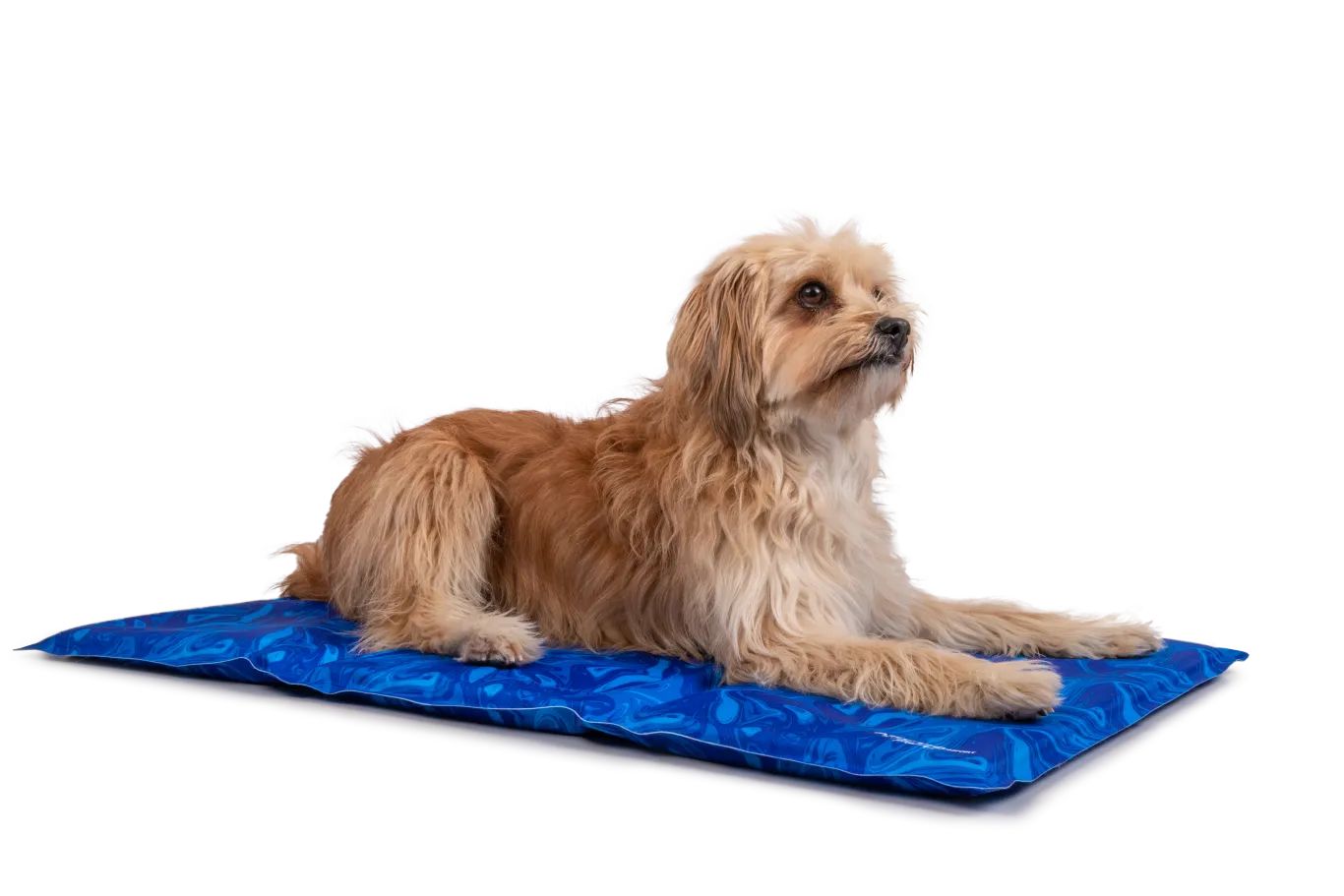 TrendPet Arctic Comfort Kühlmatte