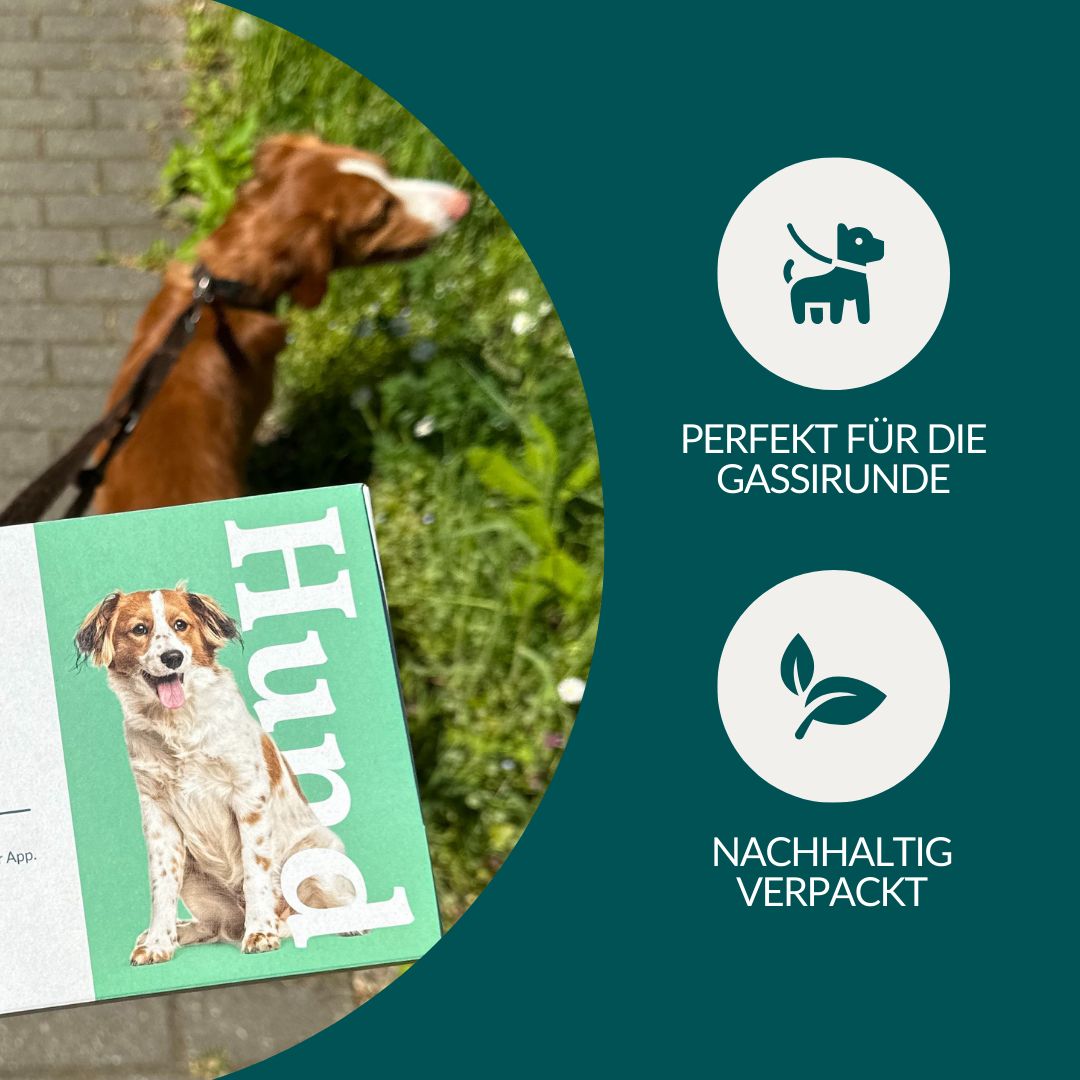 Hund auf einem Spaziergang neben der Verpackung des Giardientest Hund mit Nachhaltigkeitssymbol.