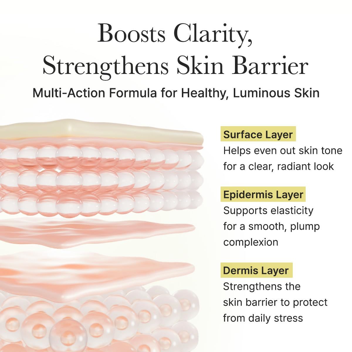 Diagramm der Hautschichten: Oberfläche, Epidermis und Dermis. Beschreibungen der Vorteile für die Haut.