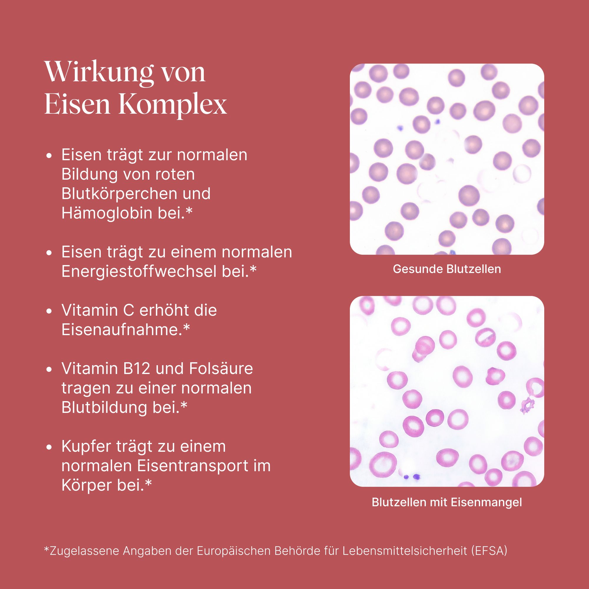 Vergleich von gesunden Blutzellen und Blutzellen mit Eisenmangel. Text über die Wirkung von Eisen Komplex.