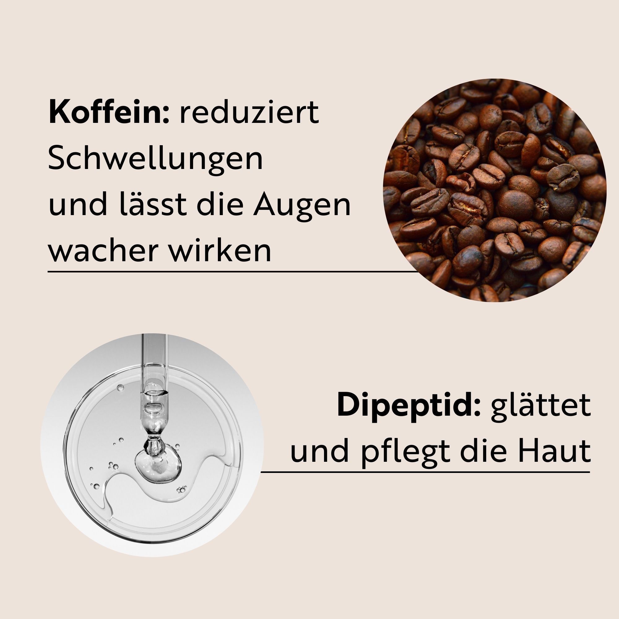 Abbildung von Kaffeebohnen und einer Flüssigkeit mit Pipette. Text: Koffein reduziert Schwellungen. Dipeptid glättet und pflegt die Haut.
