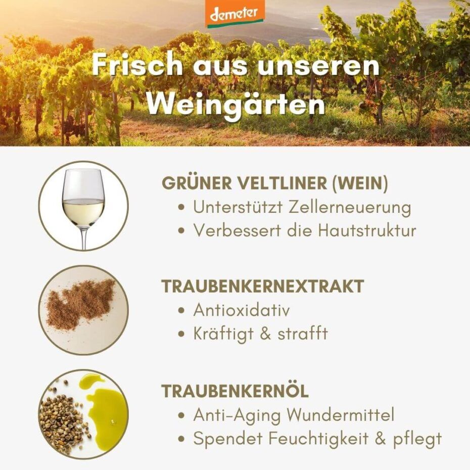 Weinberg-Szene mit Text. Wein, Traubenkernextrakt und Traubenkernöl. Demeter-Logo. Text: Frisch aus unseren Weingärten.