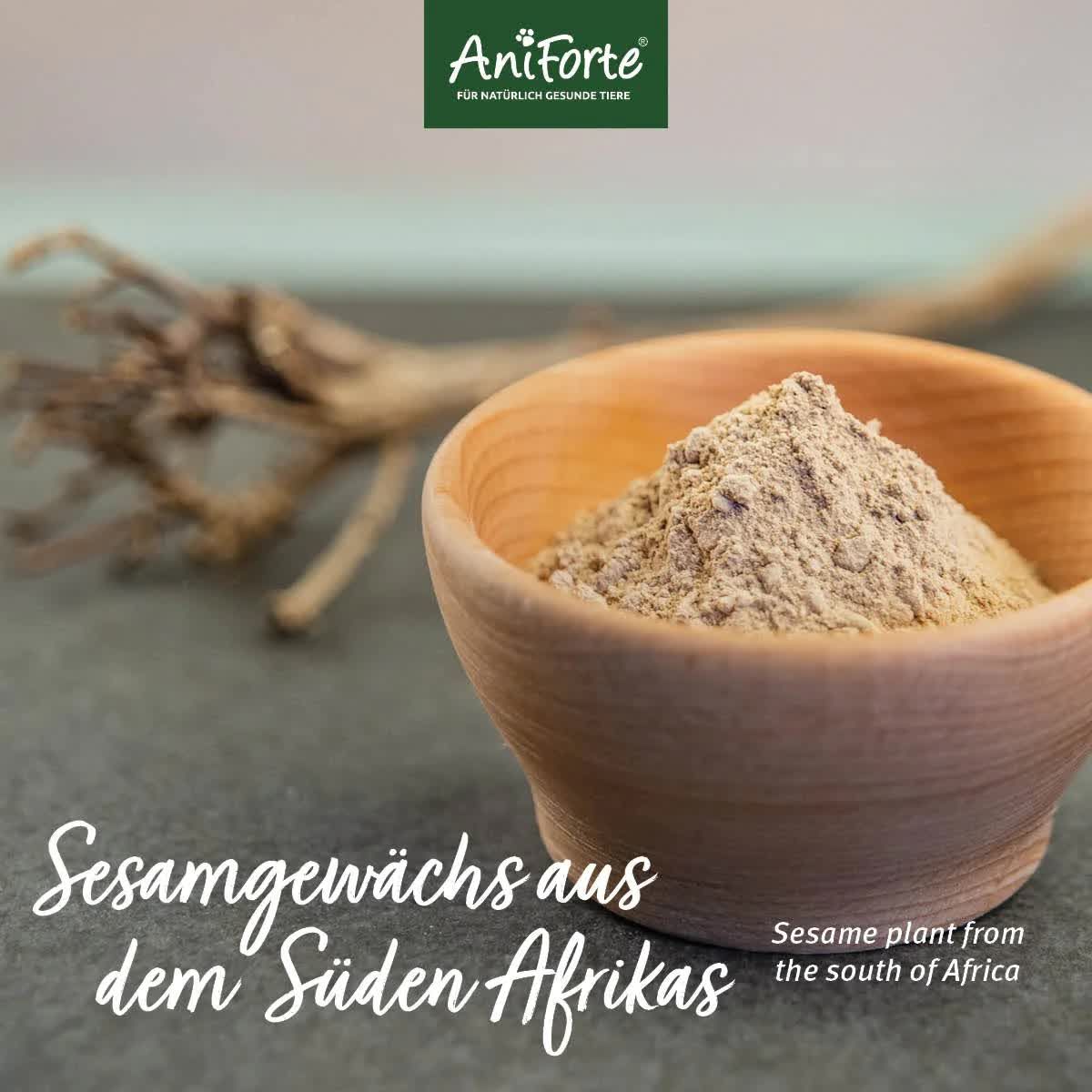 Holzschale mit braunem Pulver. Text: Sesamgewächs aus dem Süden Afrikas. Logo: AniForte.