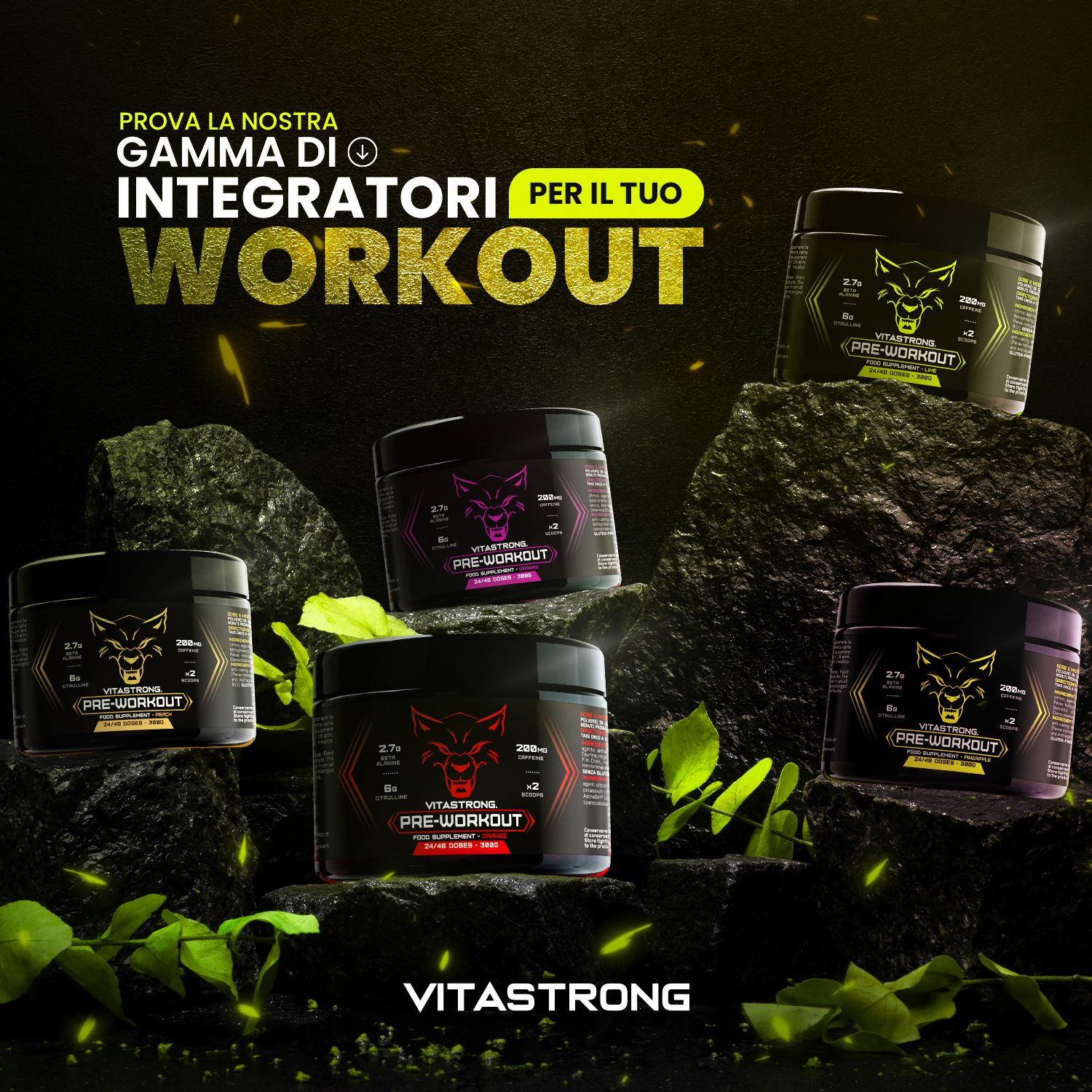 Mehrere Dosen Vitastrong Pre-Workout auf Felsen. Schwarze Dosen mit Wolfslogo. Text: WORKOUT, VITASTORNG.