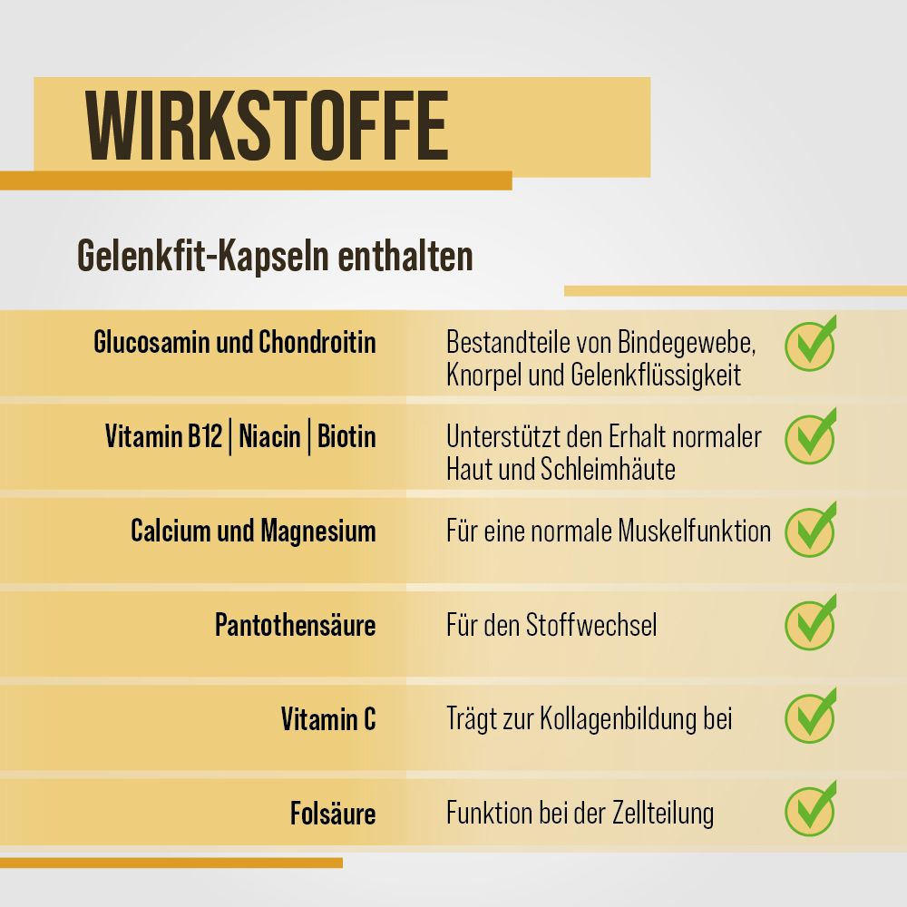 Infografik mit Inhaltsstoffen von Gelenkfit-Kapseln. Enthält Glucosamin, Chondroitin, Vitamin B12, Niacin, Biotin, Calcium, Magnesium, Pantothensäure, Vitamin C, Folsäure.
