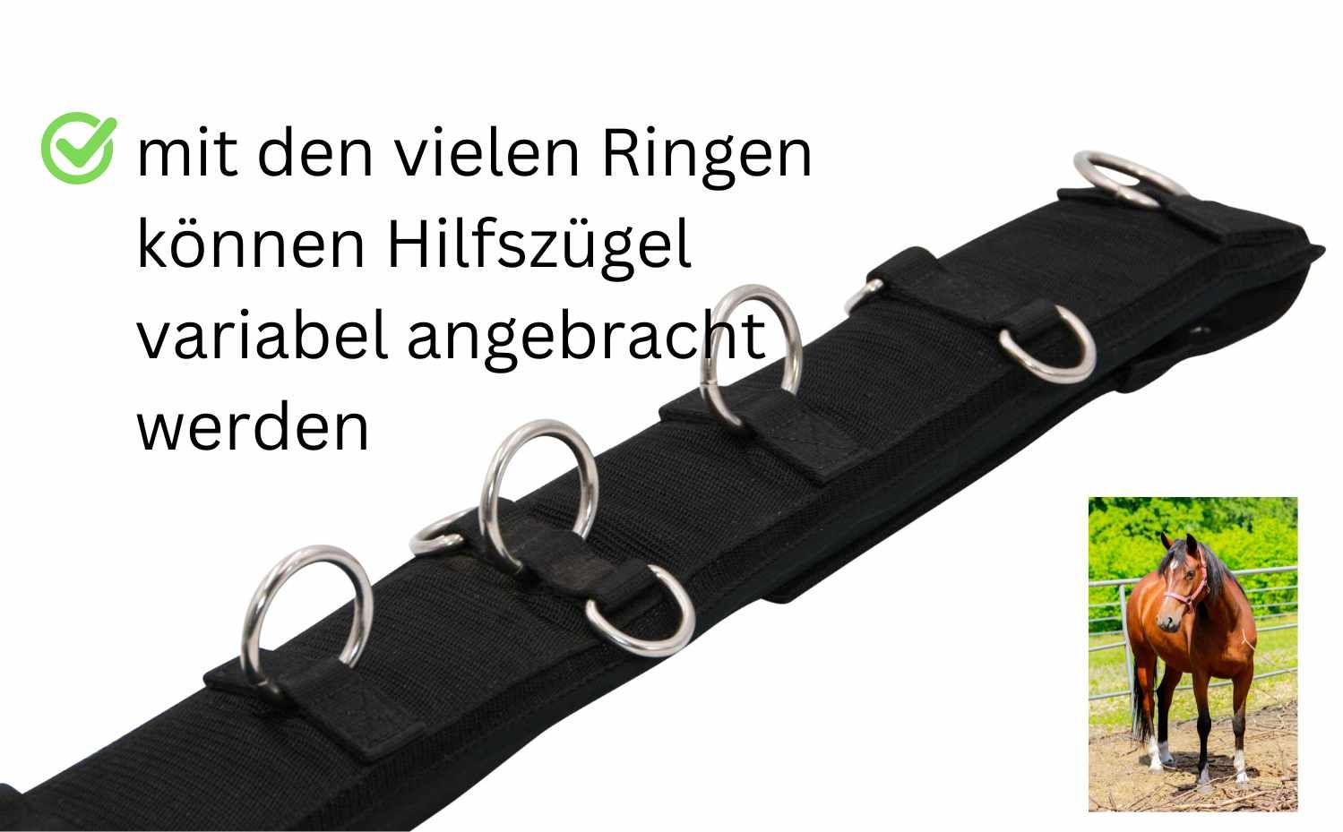 Schwarzer Longiergurt mit mehreren Ringen. Text: mit den vielen Ringen können Hilfszügel variabel angebracht werden.