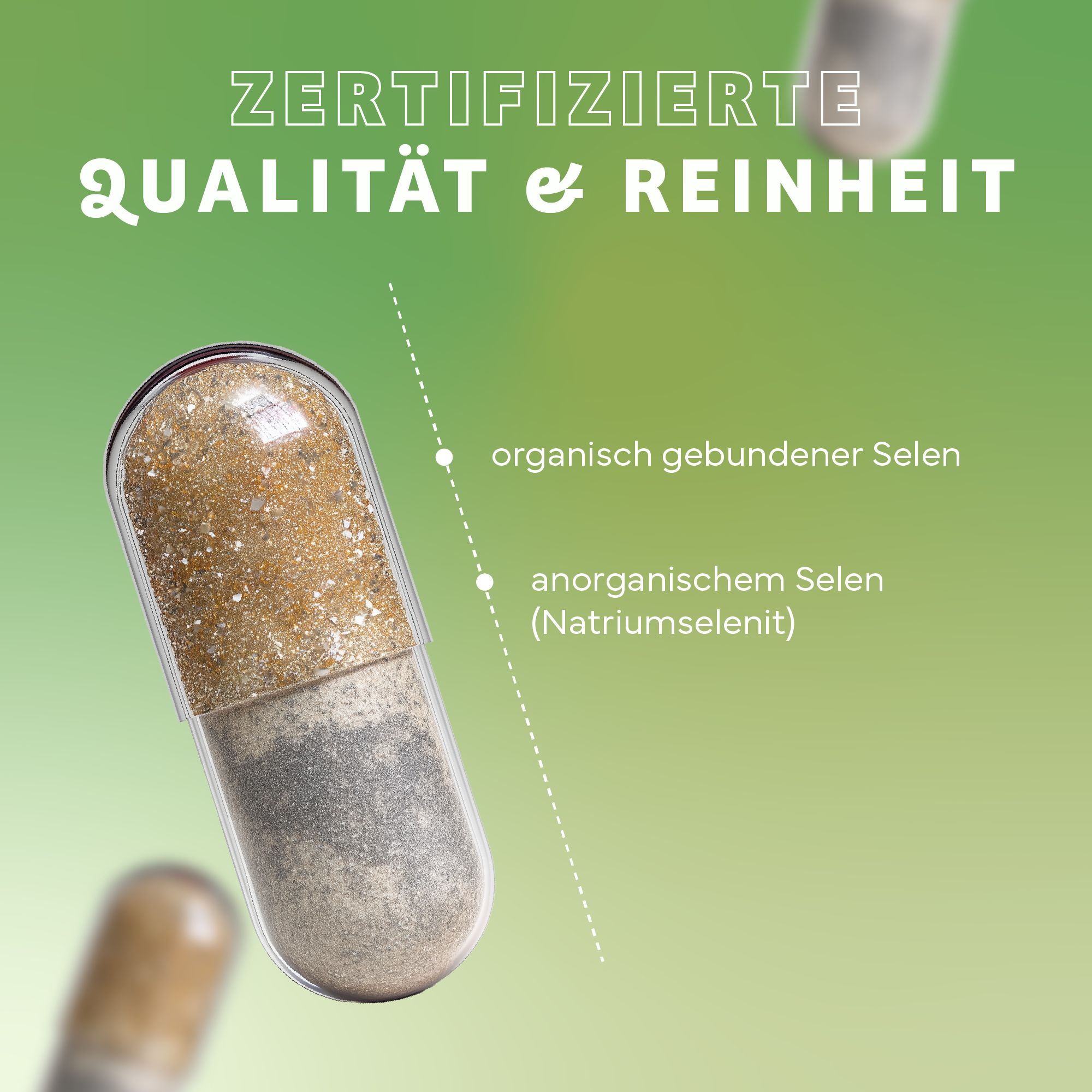 Nahaufnahme einer Kapsel. Kapsel in zwei Hälften geteilt. Text: Zertifizierte Qualität & Reinheit. Organisch gebundener Selen, anorganisches Selen.
