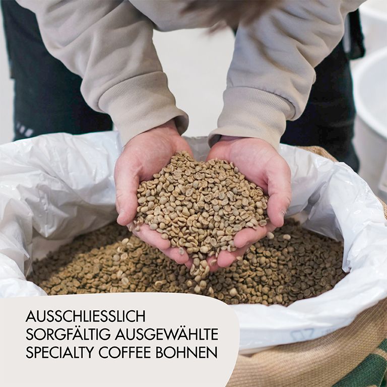 Hände halten eine Handvoll grüner Kaffeebohnen. Sack mit Bohnen im Hintergrund.