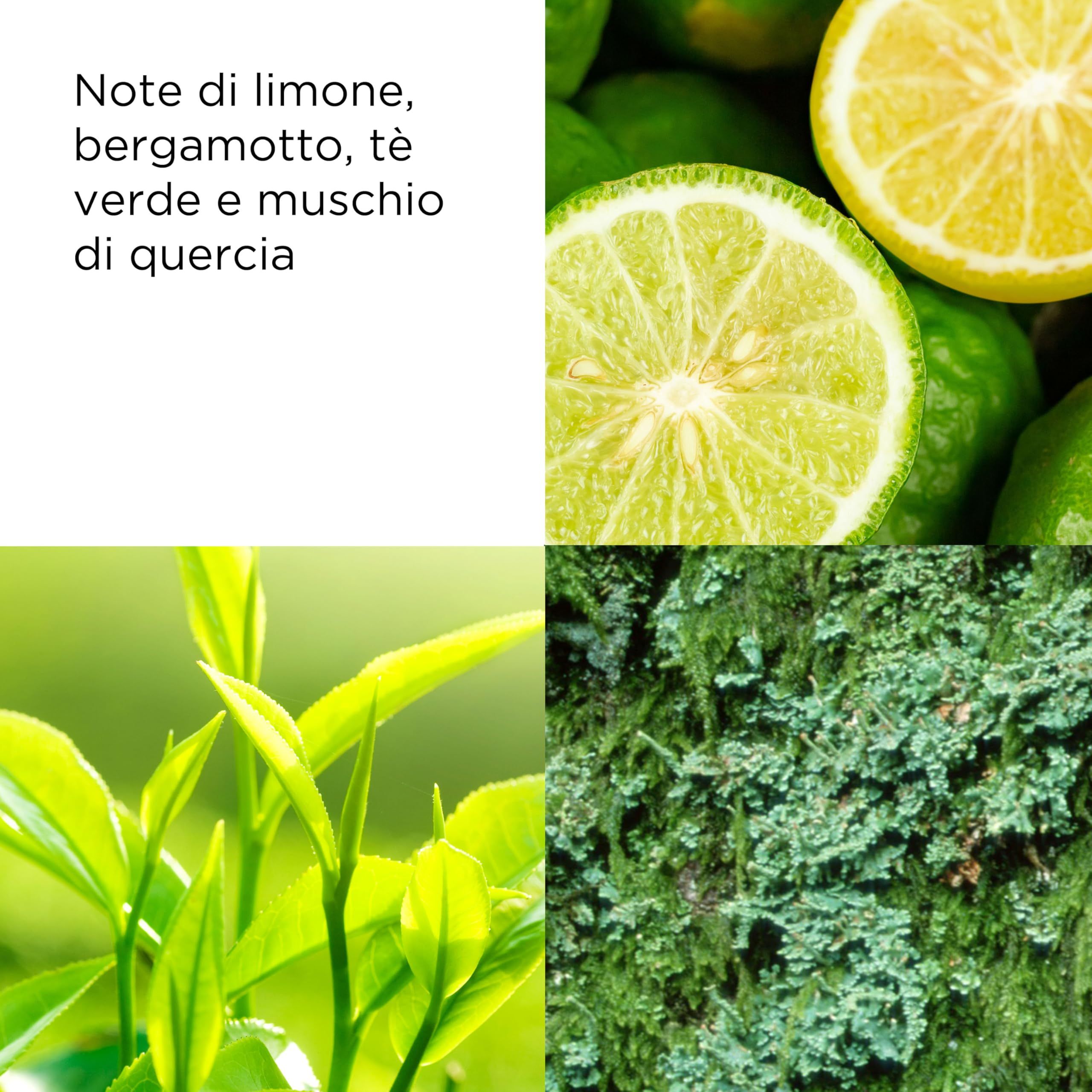 Nahaufnahme von Zitronen, Bergamotte, Teeblättern und Moos. Text: Note di limone, bergamotto, tè verde e muschio di quercia.