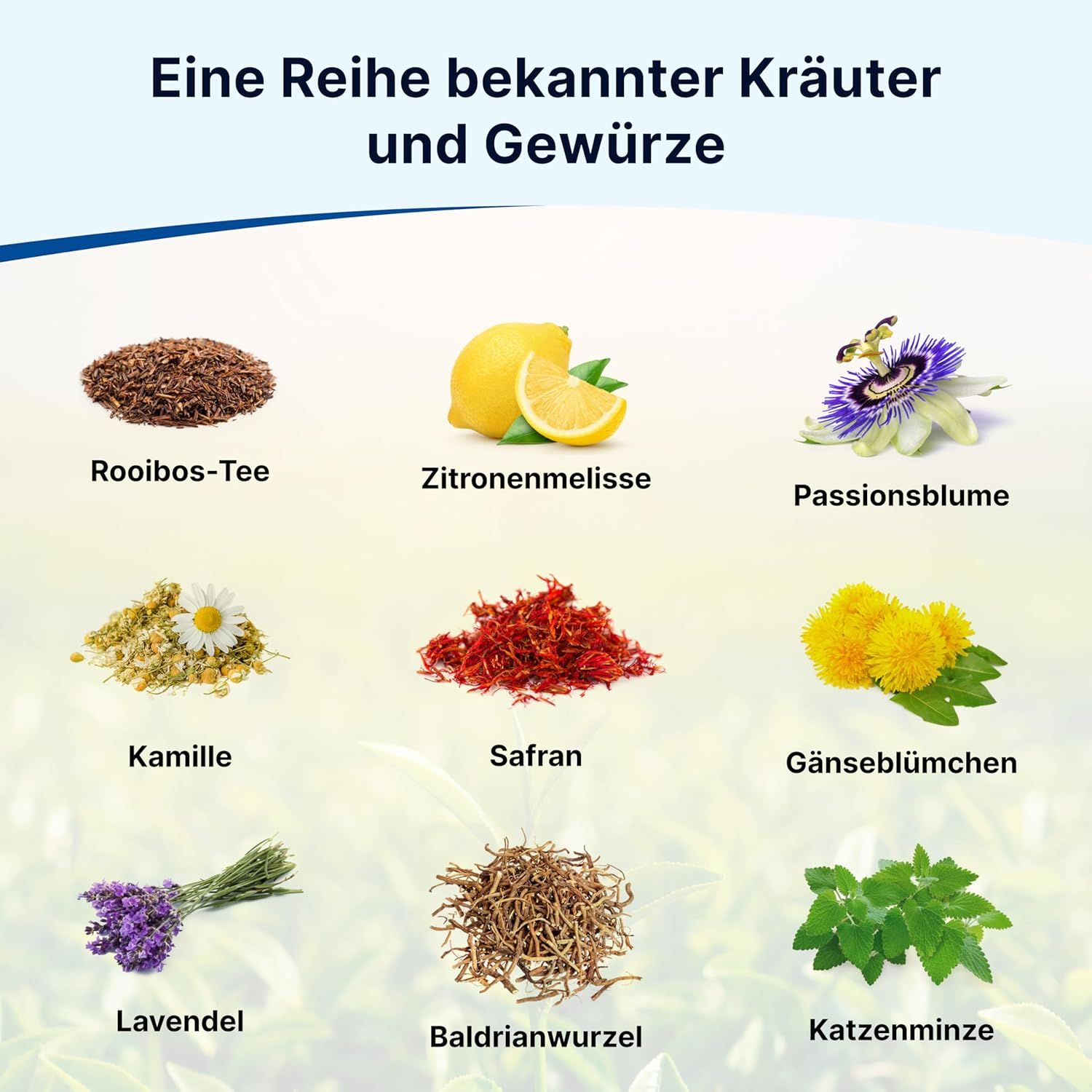 Grafik mit Kräutern und Gewürzen: Rooibos-Tee, Zitronenmelisse, Passionsblume, Kamille, Safran, Gänseblümchen, Lavendel, Baldrianwurzel, Katzenminze.