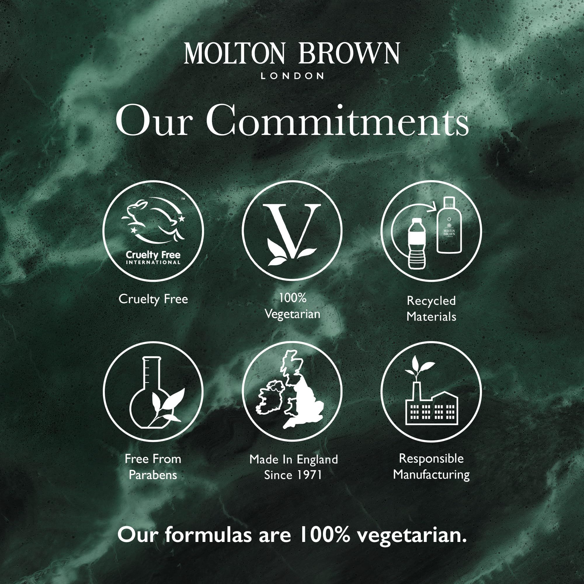 Sechs Symbole mit Text. Cruelty Free, 100% Vegetarisch, Recycled Materials, Free From Parabens, Made in England, Responsible Manufacturing.