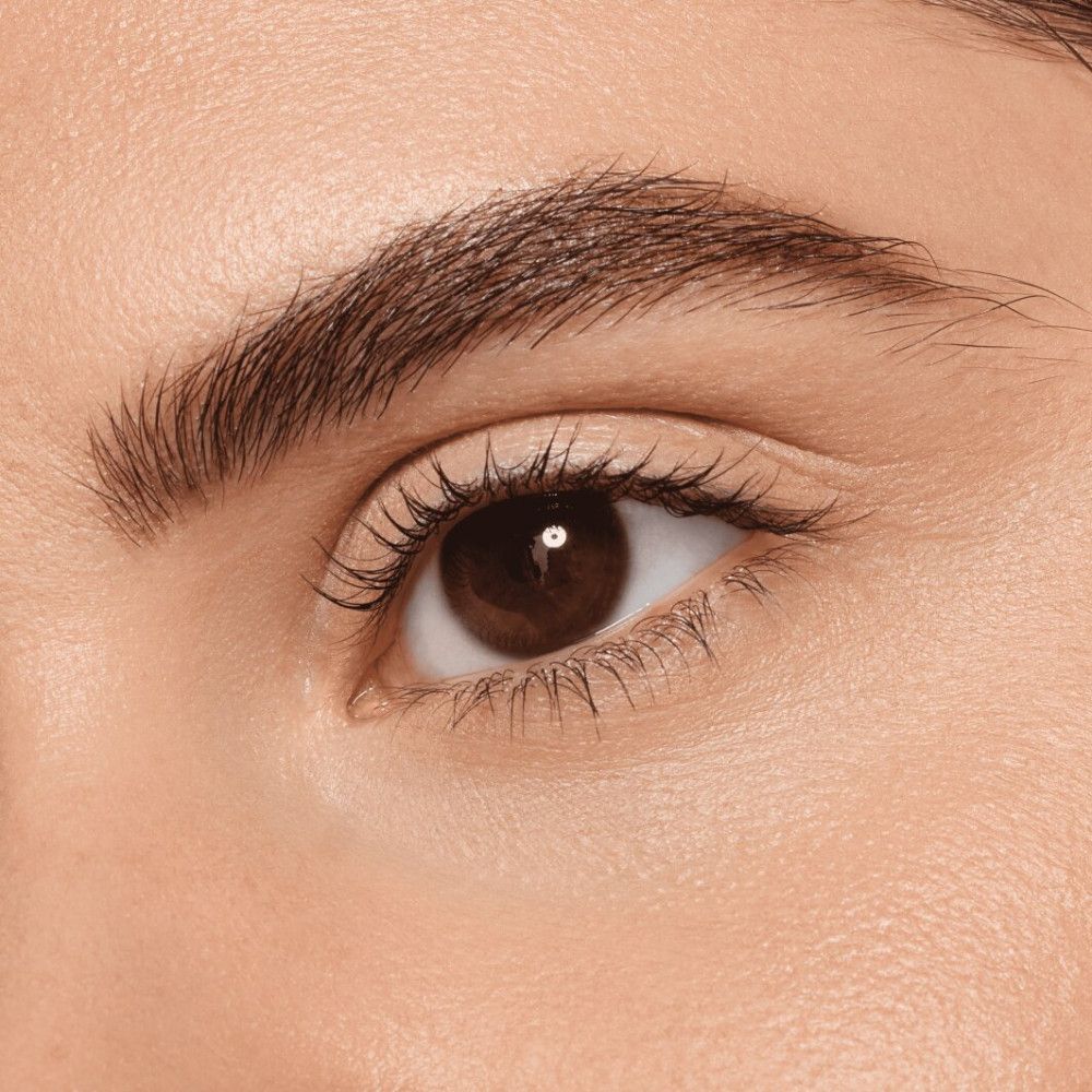 Nahaufnahme eines Auges mit Augenbraue. Braune Augen, dunkle Wimpern, gepflegte Augenbraue.