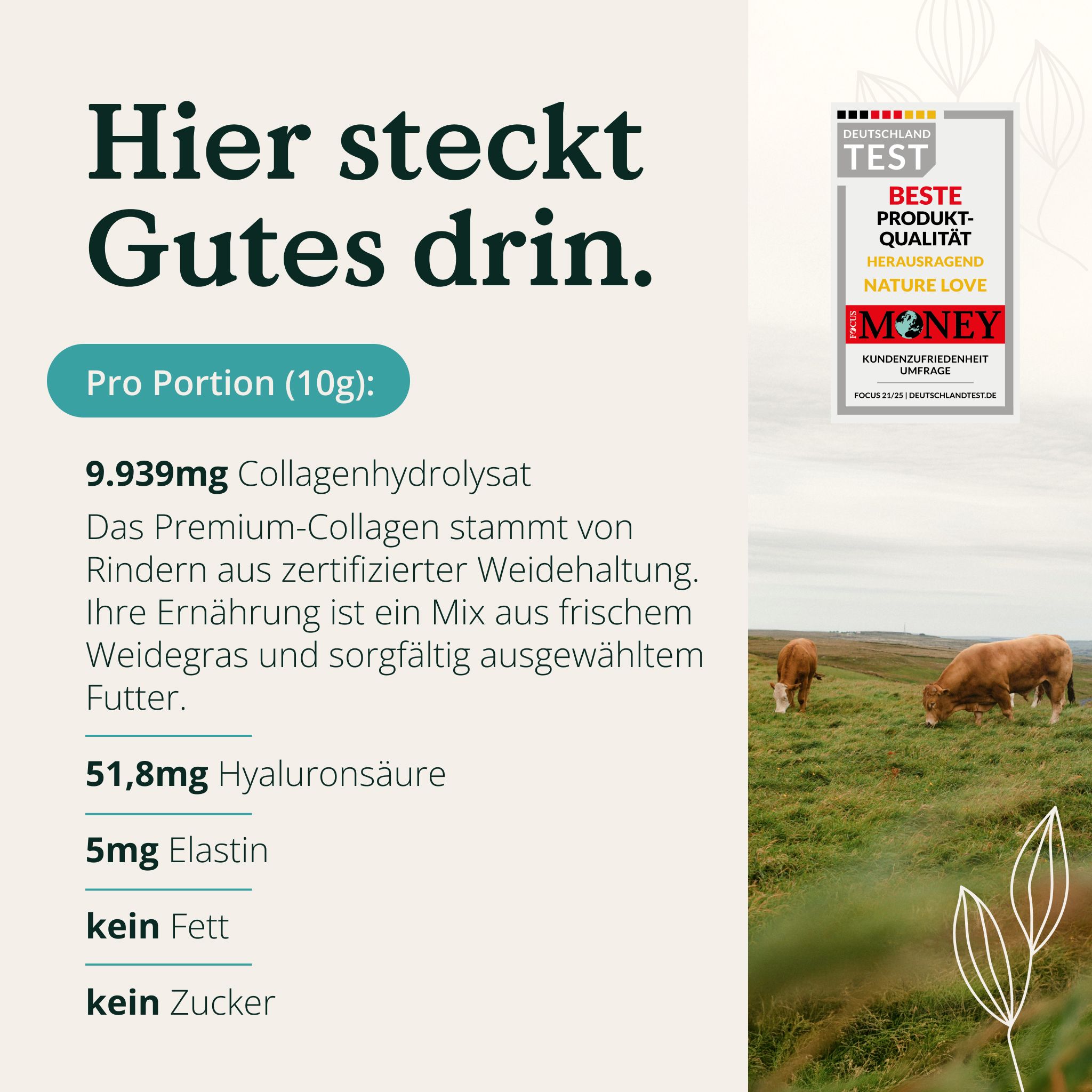 Text mit Informationen zum NATURE LOVE® Collagenpulver. Enthält 9.939mg Collagenhydrolysat, 51,8mg Hyaluronsäure, 5mg Elastin.