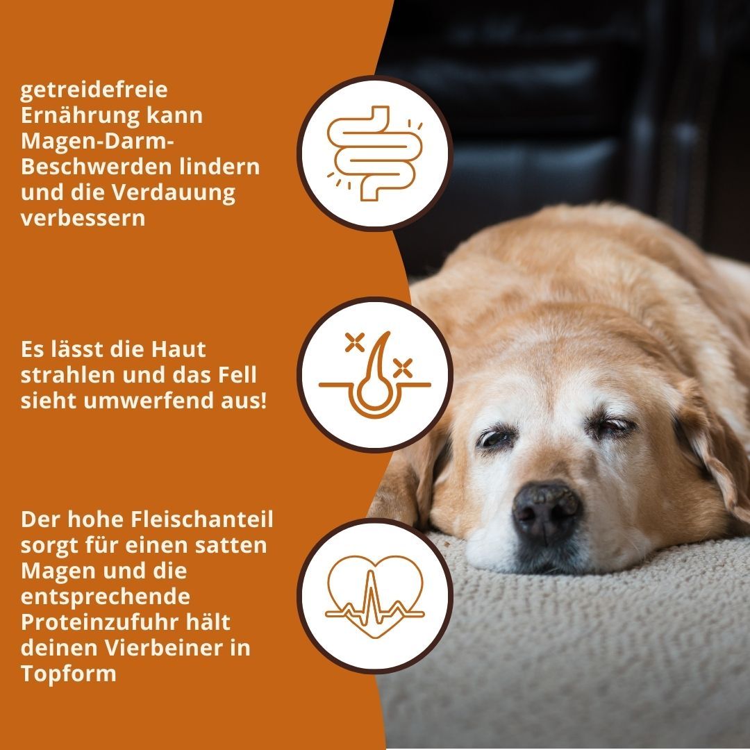Fütterungsempfehlung für Hundefutter nach Gewicht, mit Hundekopf.