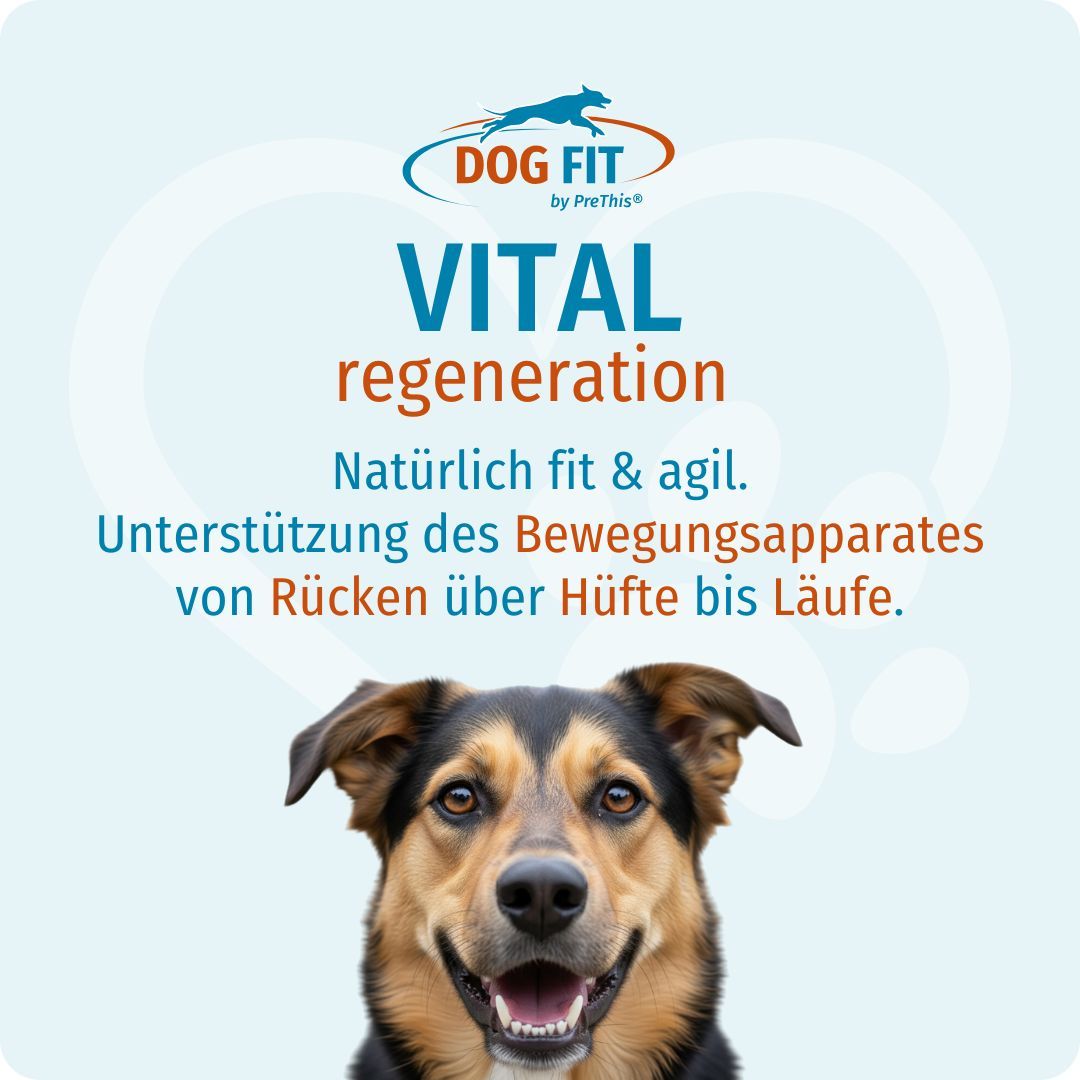 Hund mit braun-schwarzem Fell. Text: DOG FIT, VITAL regeneration, natürlich fit & agil. Unterstützung des Bewegungsapparates.