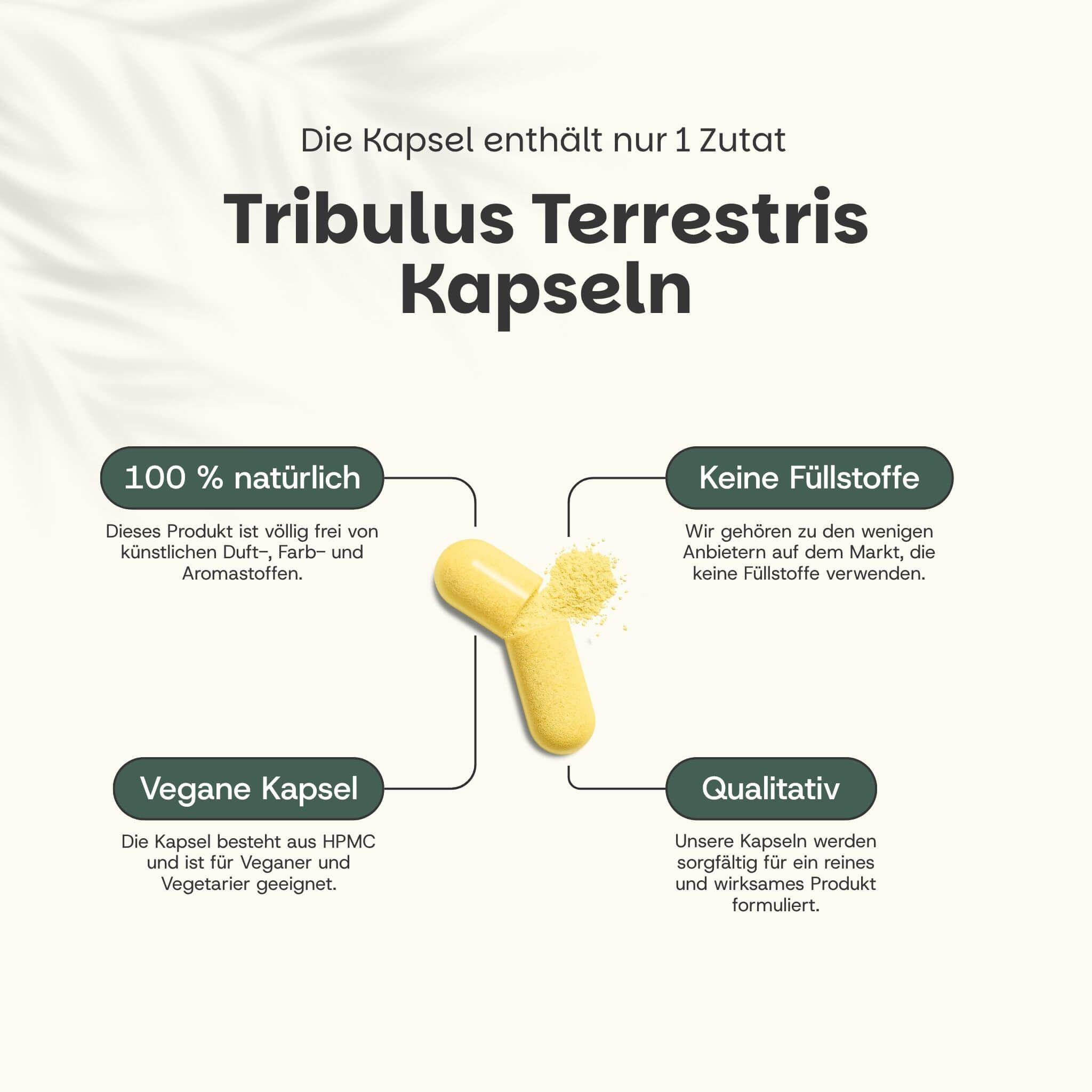Gelbe Kapsel mit Inhalt. Aufschrift: Tribulus Terrestris Capsules. 100% natürlich, keine Füllstoffe, vegan.