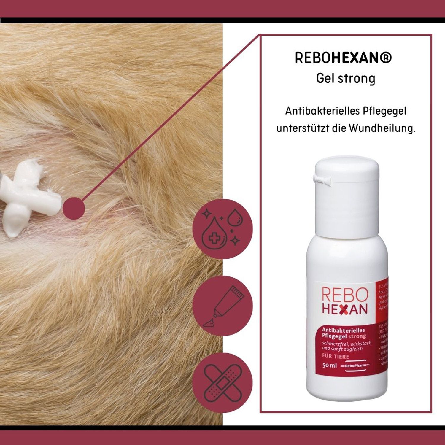 REBOHEXAN Gel strong