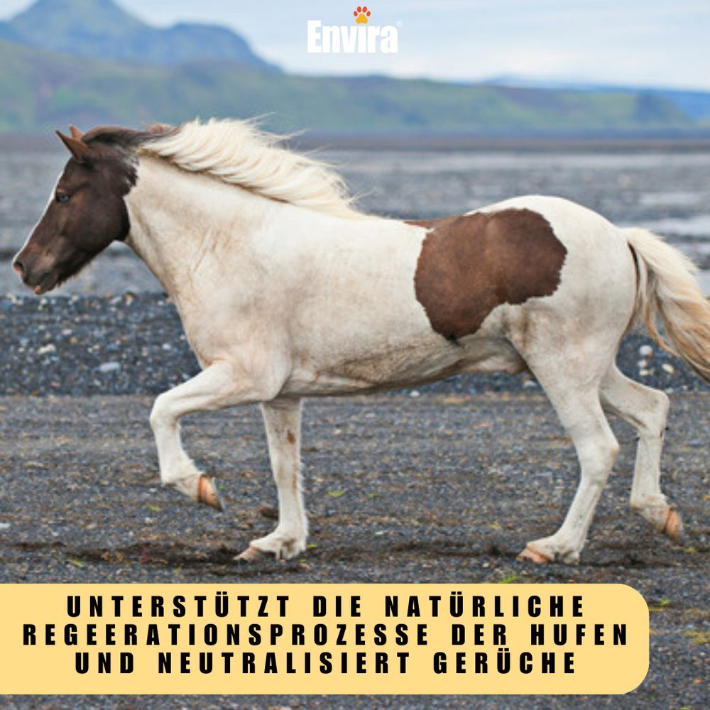 Pferd auf Landschaft. Text: Unterstützt Regenerationsprozesse der Hufe und neutralisiert Gerüche. Envira Logo.