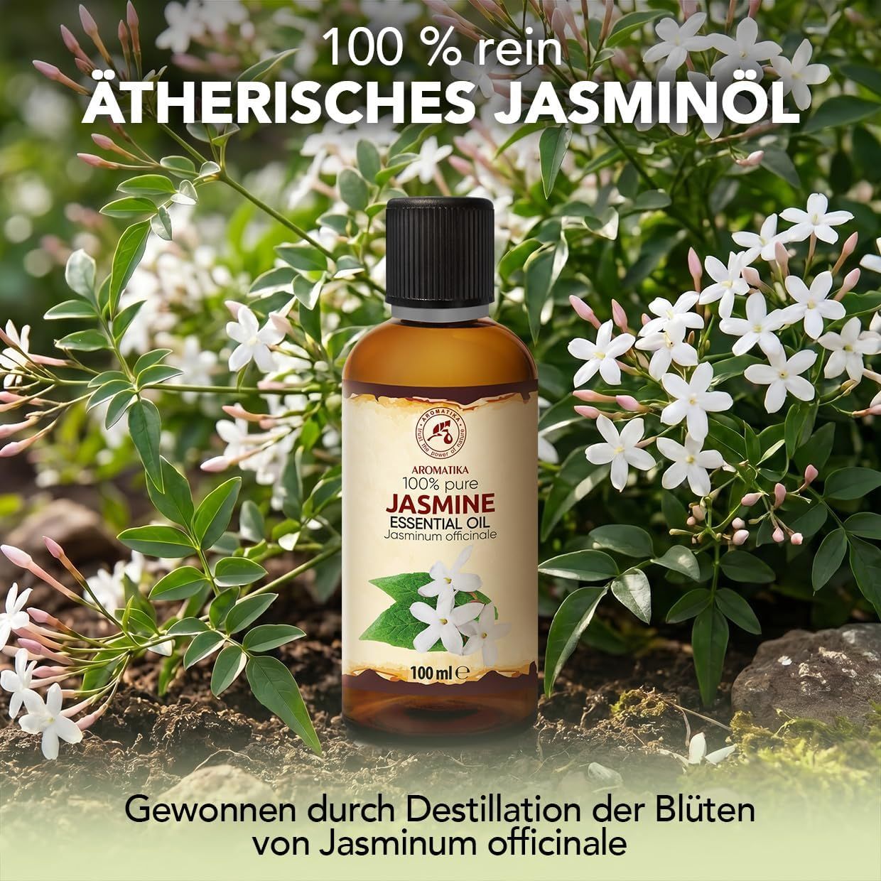 Flasche mit 50 ml Sternanisöl, umgeben von Sternanisfrüchten und Blättern.