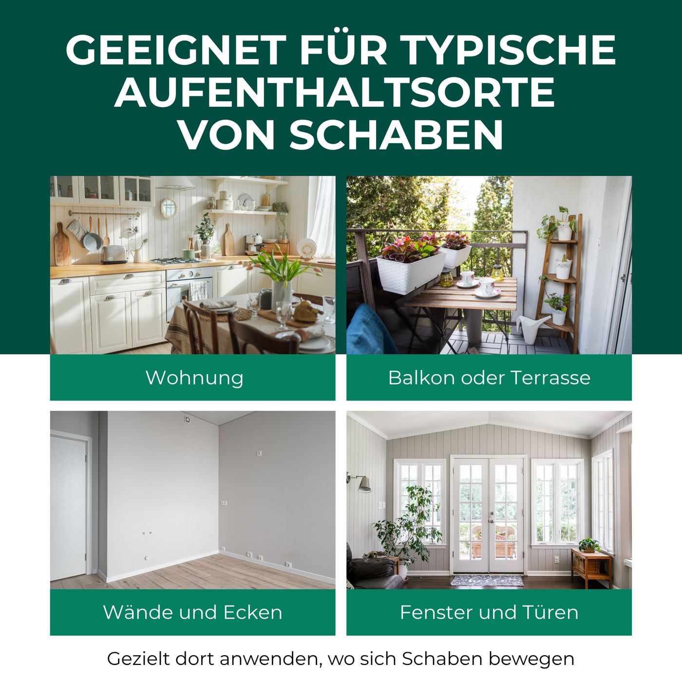 Vier Bilder zeigen typische Aufenthaltsorte von Schaben: Wohnung, Balkon, Wände/Ecken, Fenster/Türen. Text: Geeignet für...