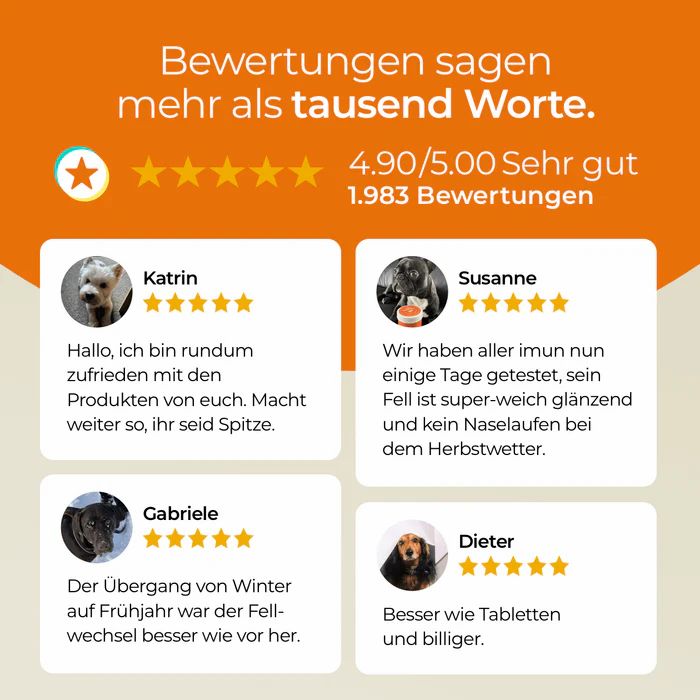 Bewertungen: 4.9/5.0. Zitate von Kunden. Fotos von Hunden. Sterne-Bewertungen. Text: Sehr gut, Fell glänzend, besser als Tabletten.