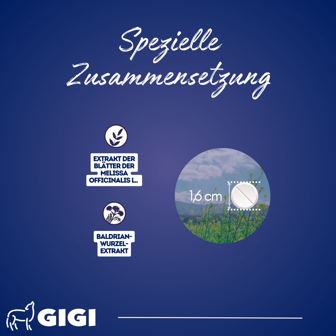 Grafik mit Inhaltsstoffen. Extrakt der Blätter der Melissa officinalis L. Baldrian-Wurzel-Extrakt. Tablette mit 1,6 cm Durchmesser. Logo: GIGI.