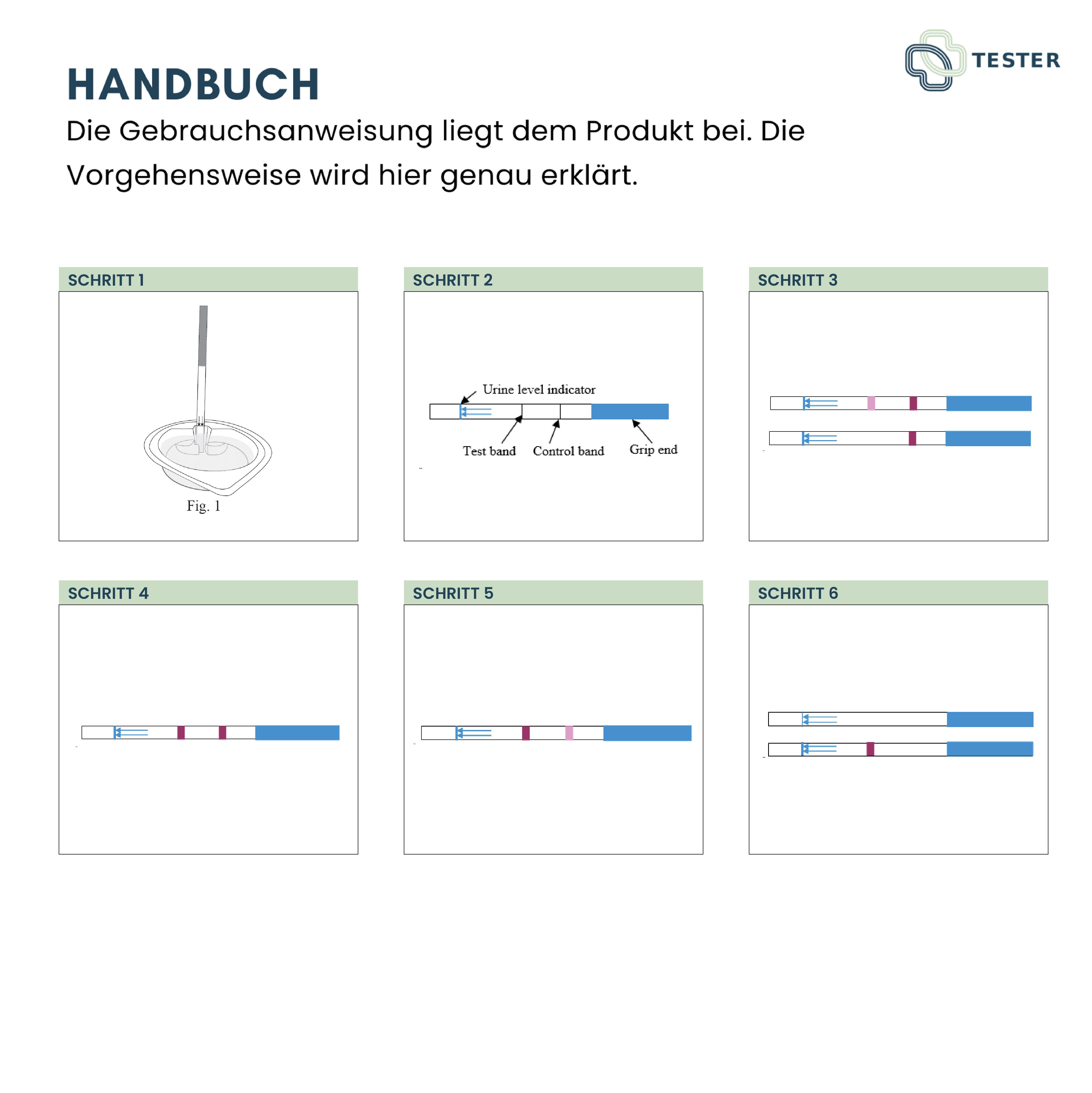 Anleitung mit sechs Schritten zur Durchführung eines Tests. Abbildungen von Teststreifen und Zubehör.