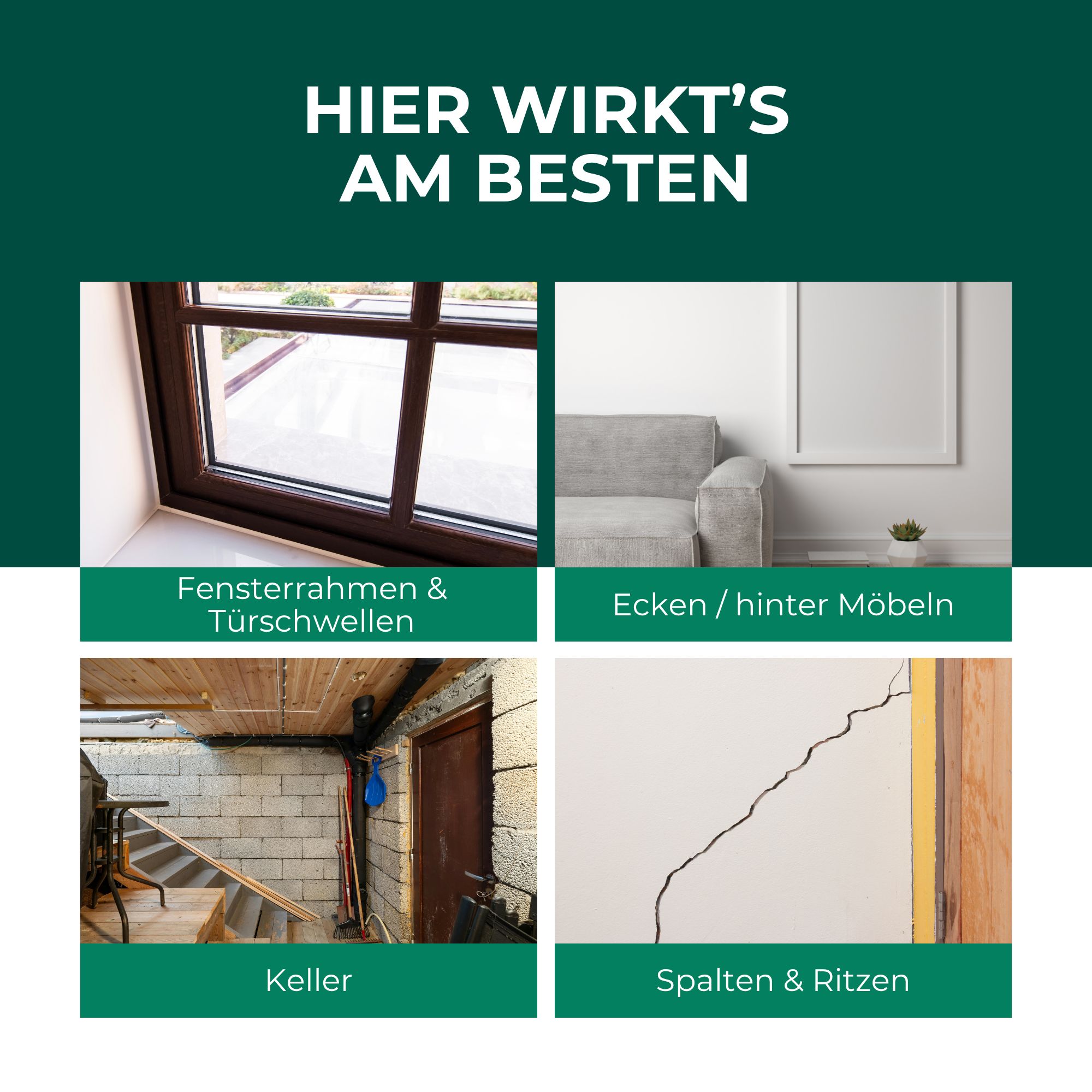 Vier Bilder zeigen Anwendungsorte: Fensterrahmen, Ecken, Keller, Spalten. Text: Hier wirkt's am besten.