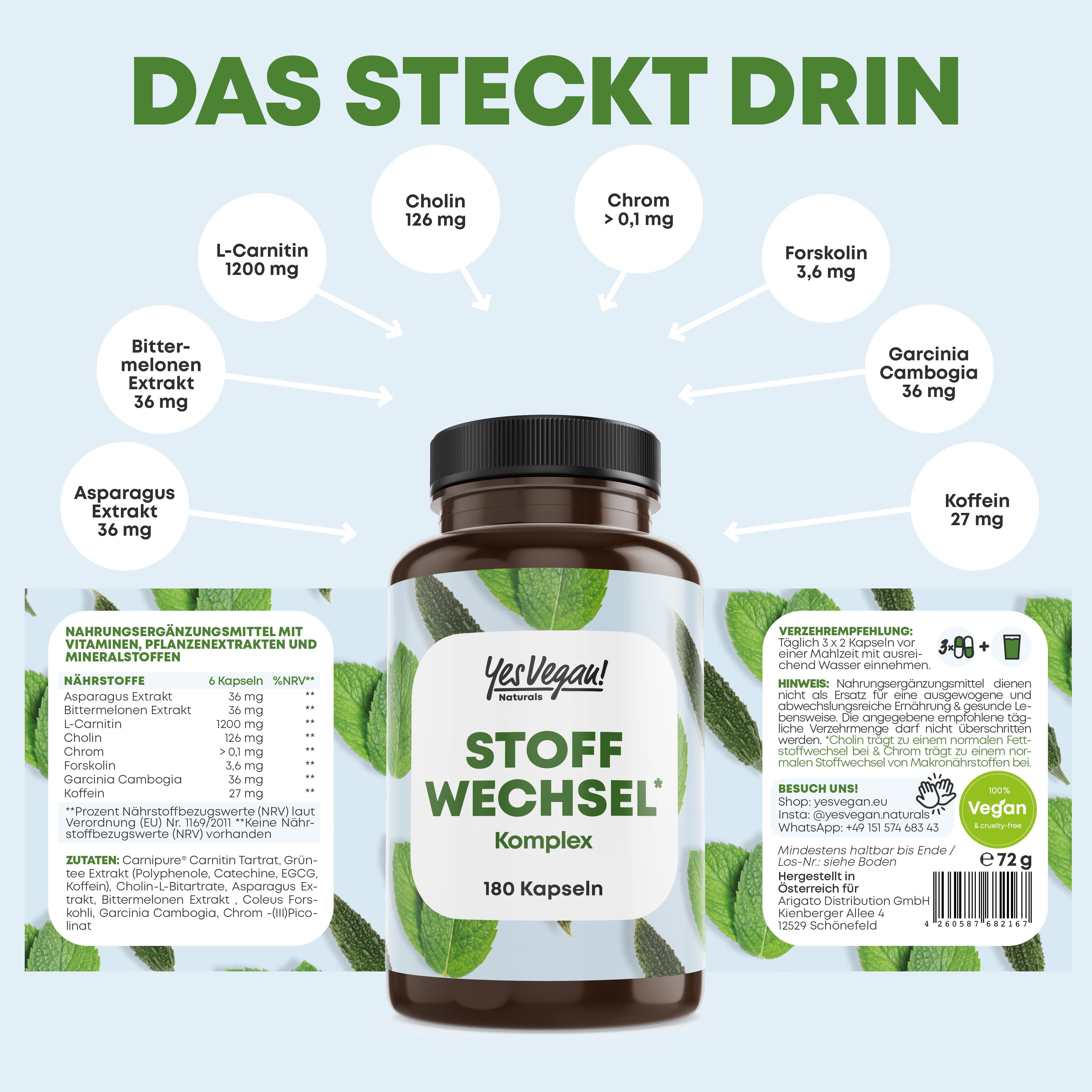Braune Kapsel mit Etikett 'Stoffwechsel Komplex', 180 Kapseln. Übersicht der Inhaltsstoffe und Mengen.