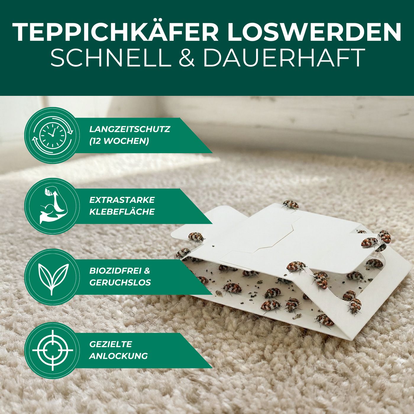 Weiße Falle mit Käfern auf Teppich. Grafiken zeigen: Langzeitschutz, extra starke Klebefläche, biozidfrei & geruchlos, gezielte Anlockung.