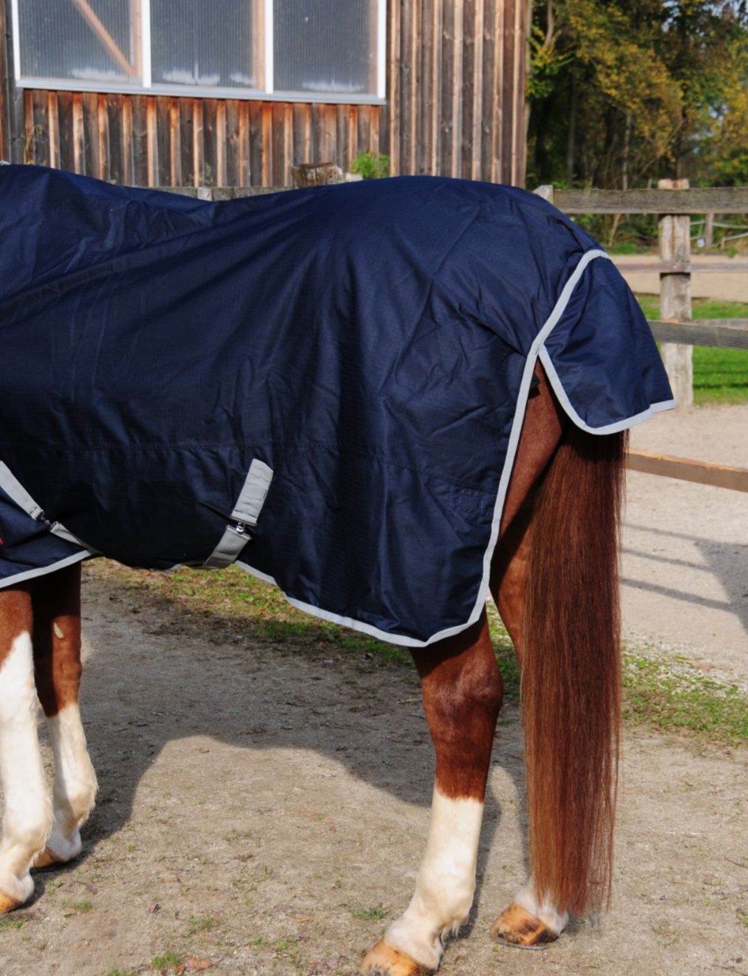 Dunkelblaue Pferdedecke mit silberfarbener Umrandung. Pferd mit Decke im Freien.