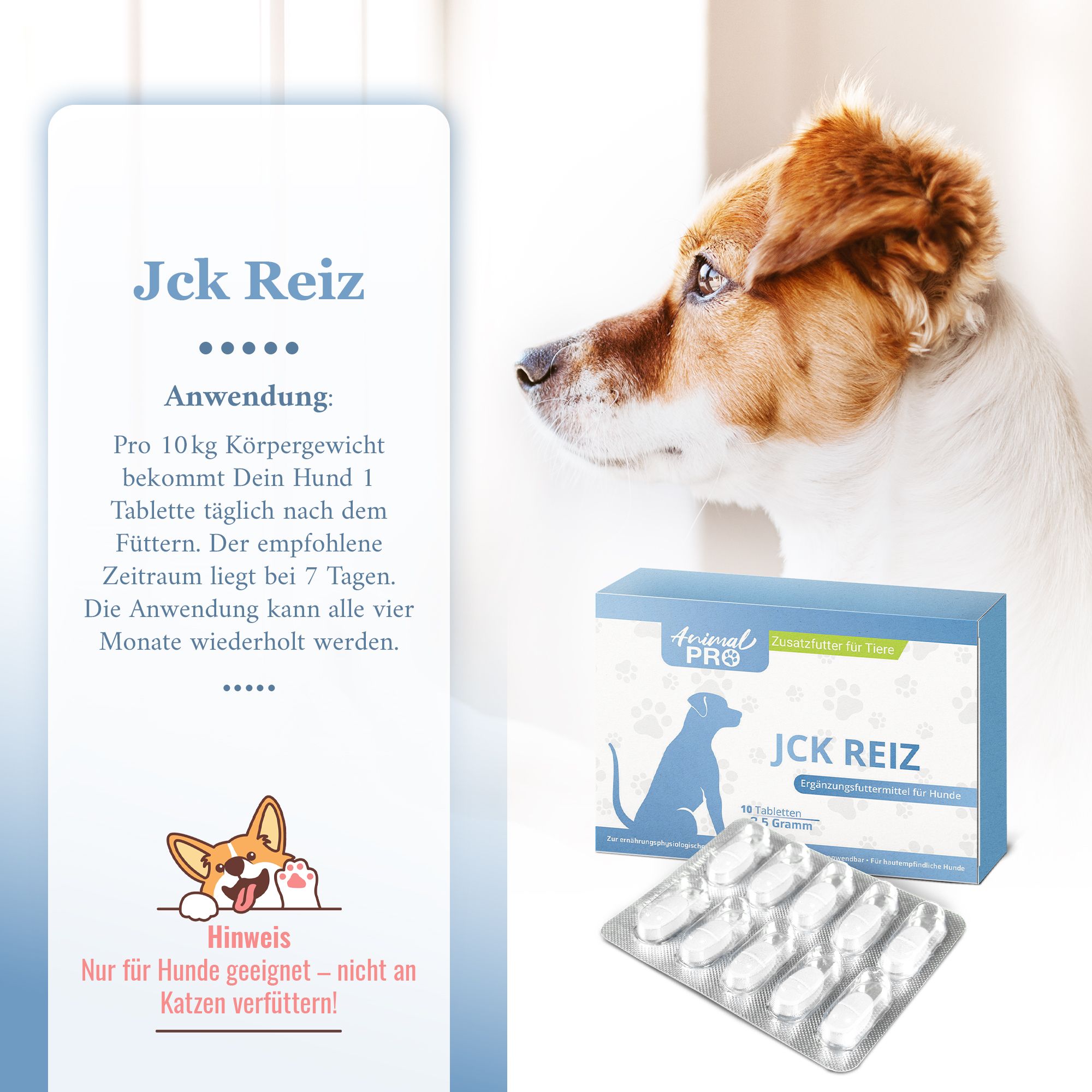 Animal Pro | JCK REIZ