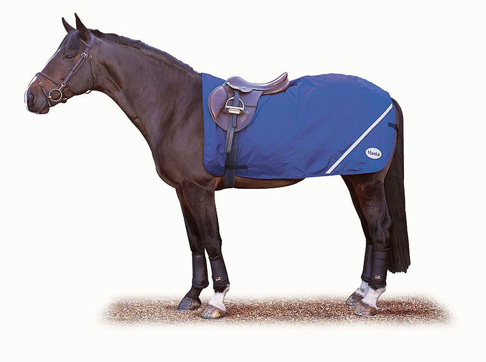 Blau Trainingsdecke auf einem Pferd. Weißer Streifen an der Seite. Sattel und Beinschutz.