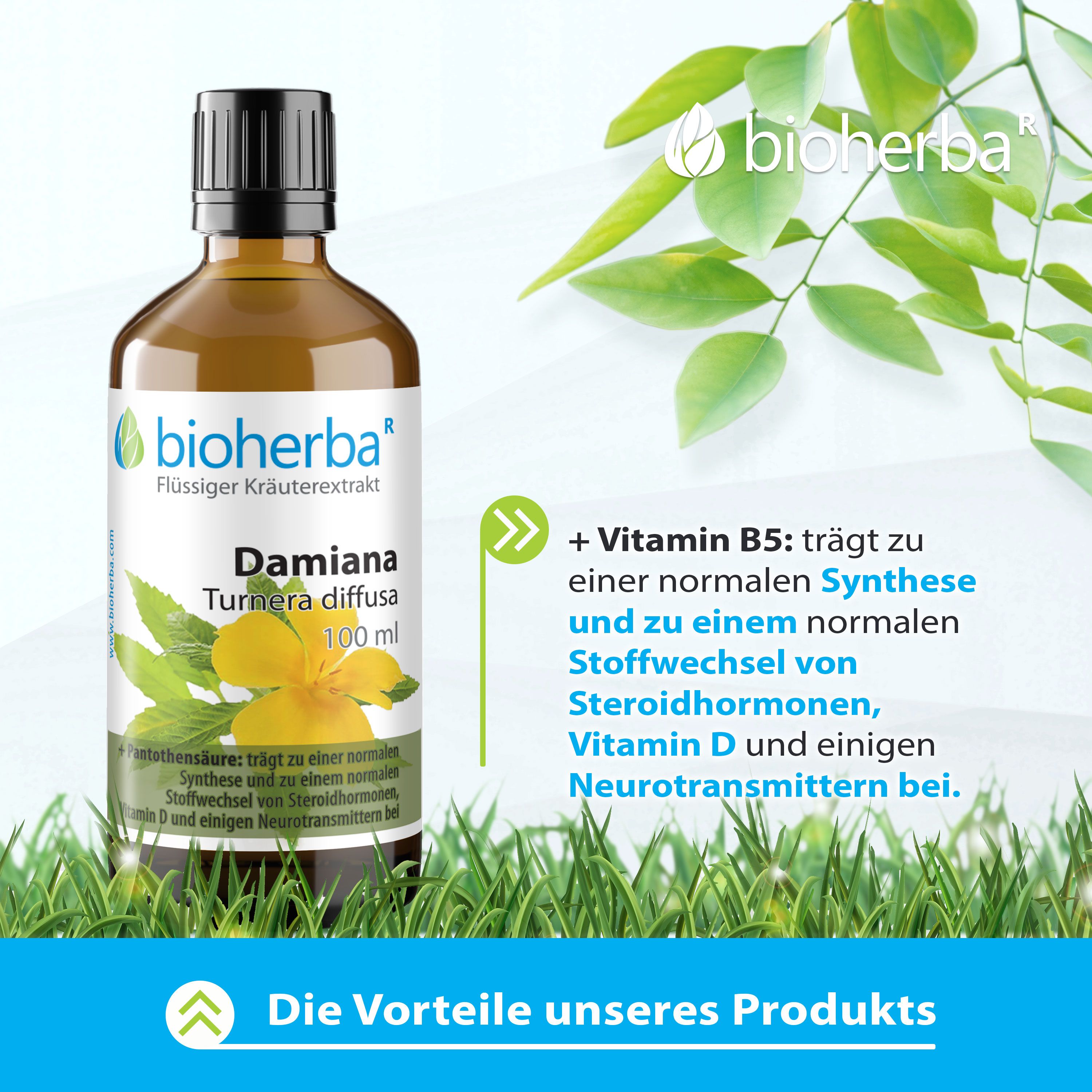 Bioherba Damiana Flasche, 100 ml. Braune Glasflasche mit schwarzem Deckel. Text: Damiana, Turnera diffusa. Grünpflanzen im Hintergrund.