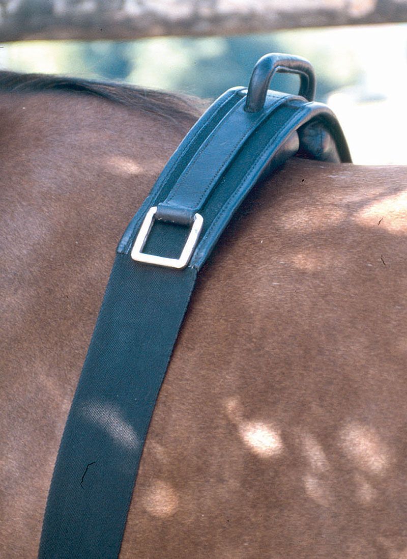 Dunkelgrüner Reitgurt mit Metallschließe und Griff. Auf dem Rücken eines Pferdes platziert.