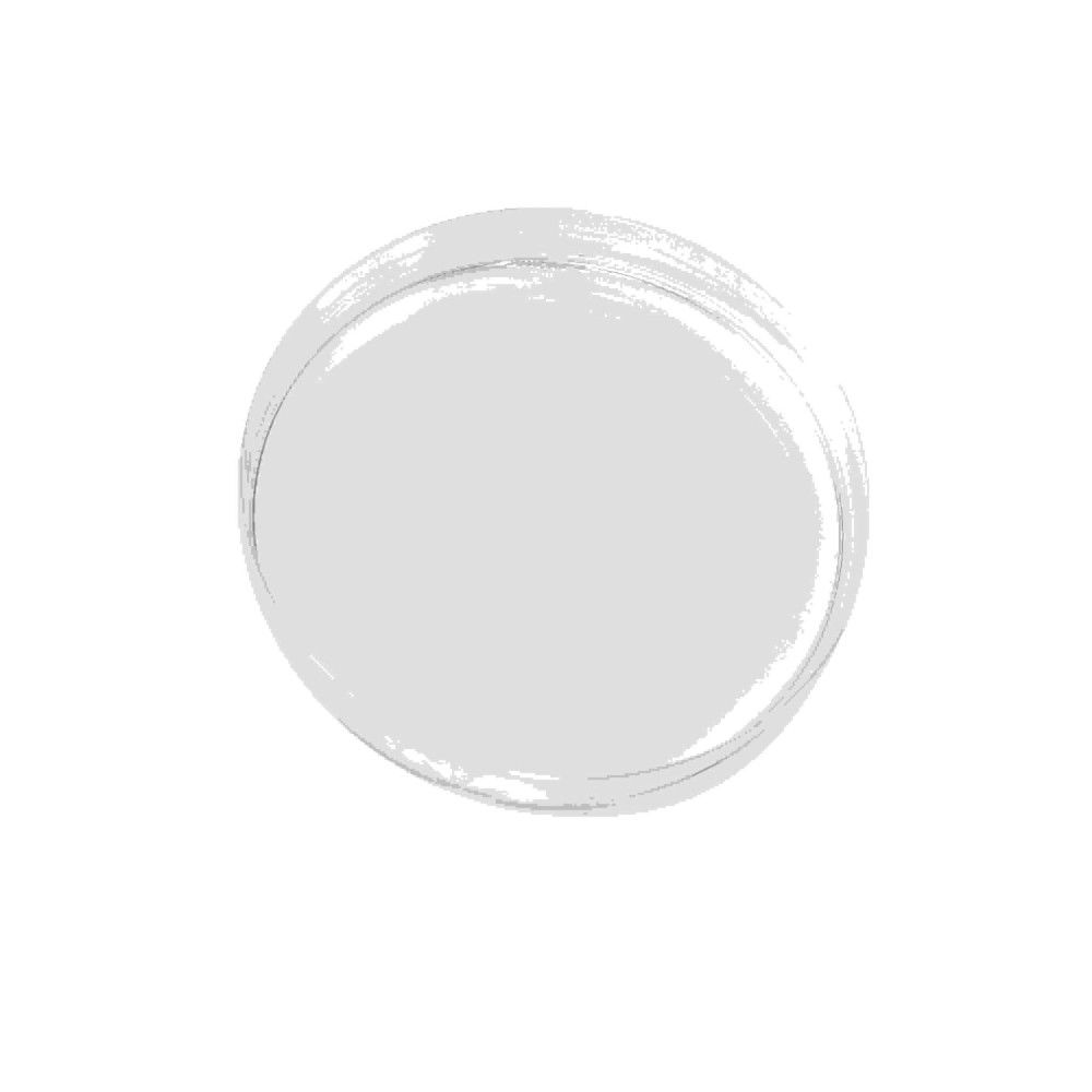 Grauer, runder Pinselstrich auf weißem Hintergrund.