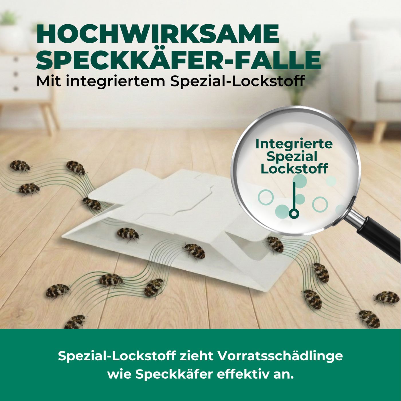 Falle mit Lockstoff. Käfer werden angezogen. Lupe zeigt: Integrierter Spezial-Lockstoff. Käfer fliegen zur Falle.
