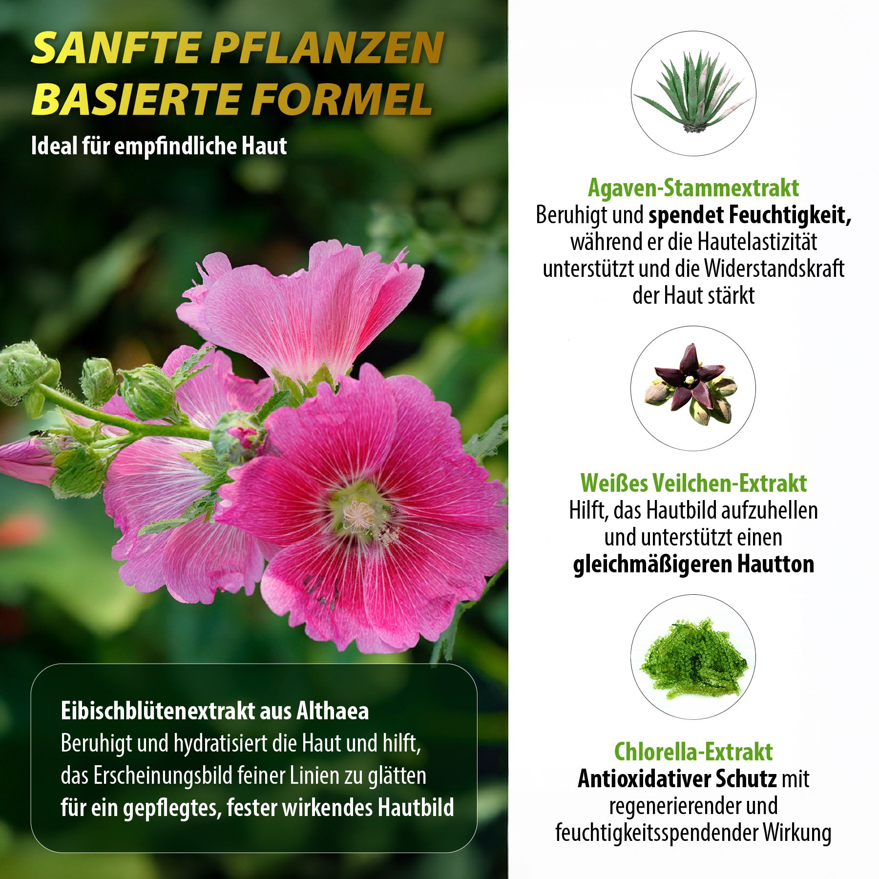 Blumen und Pflanzen. Text über Inhaltsstoffe: Agaven-Extrakt, weißer Veilchen-Extrakt, Eibischblütenextrakt, Chlorella-Extrakt.