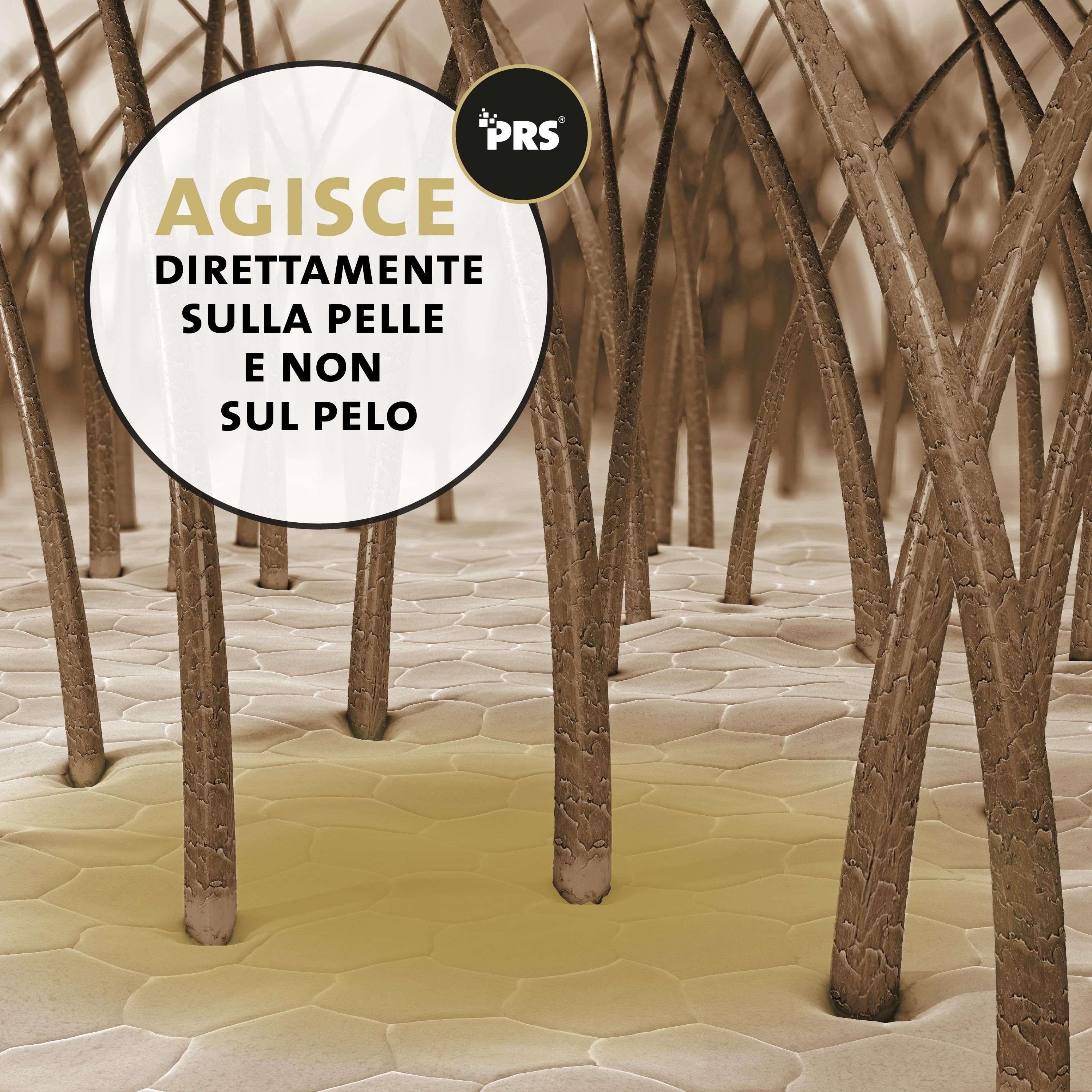 Nahaufnahme von Pferdehaar. Text: Wirkt direkt auf der Haut, nicht auf dem Fell. Logo: PRS.