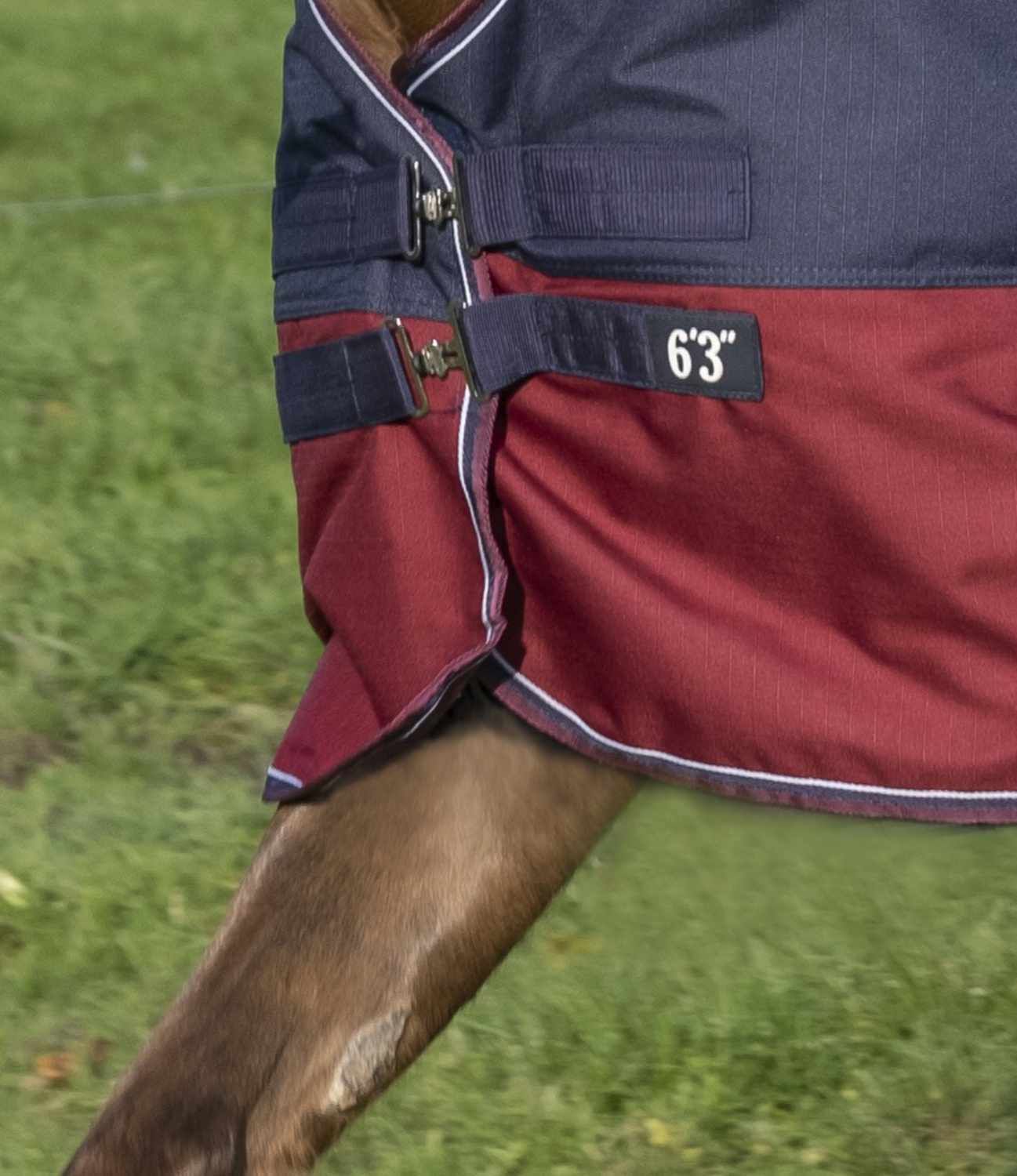 Detail der Pferdedecke. Blau-rot, mit Schnallen und Größenangabe '6'3'.