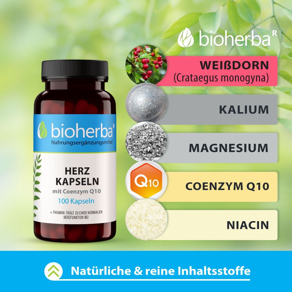 Braune Flasche Bioherba Herz Kapseln mit 100 Kapseln. Inhaltsstoffe: Weißdorn, Kalium, Magnesium, Coenzym Q10, Niacin.